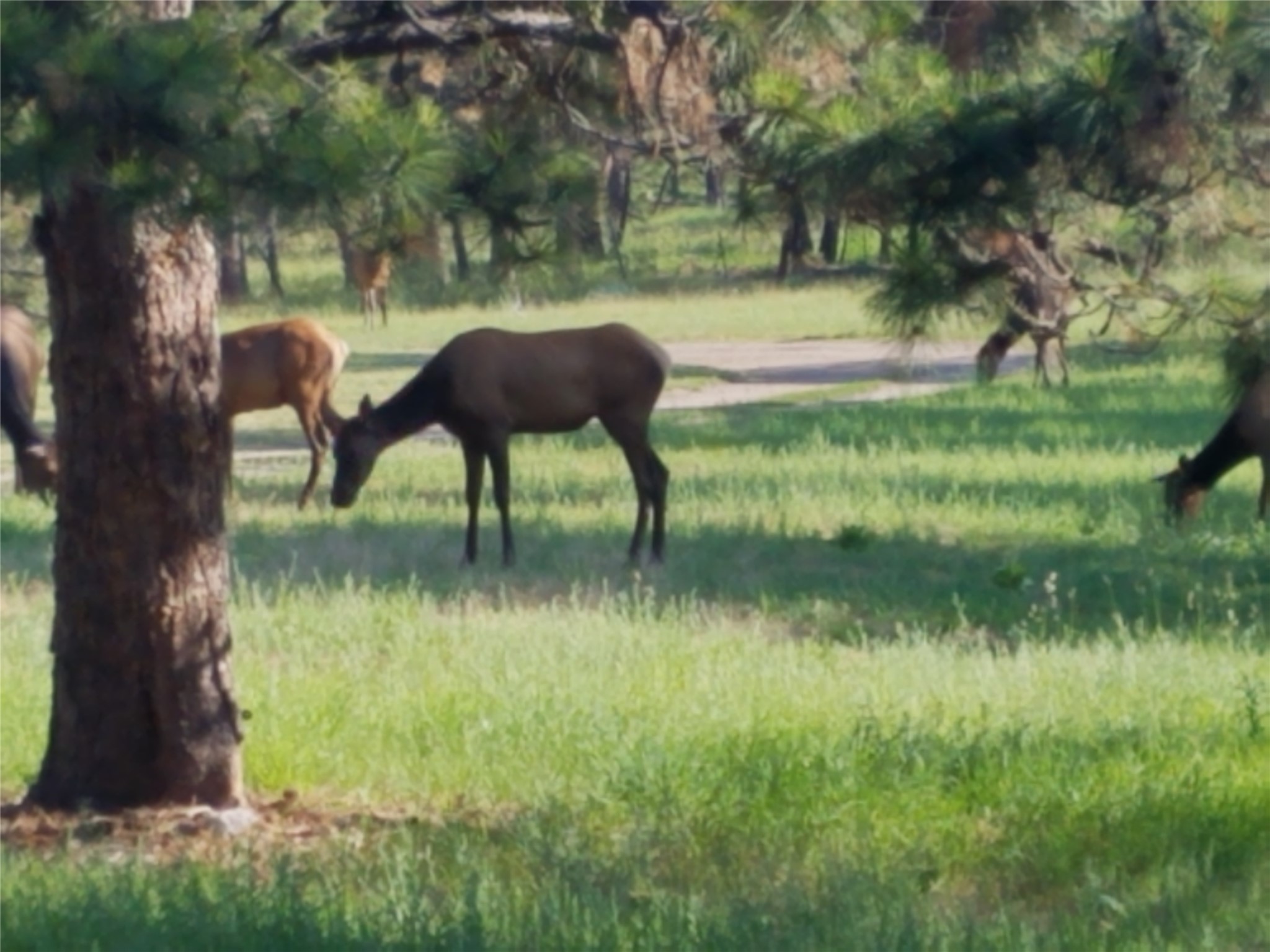 16300 Circle View Drive