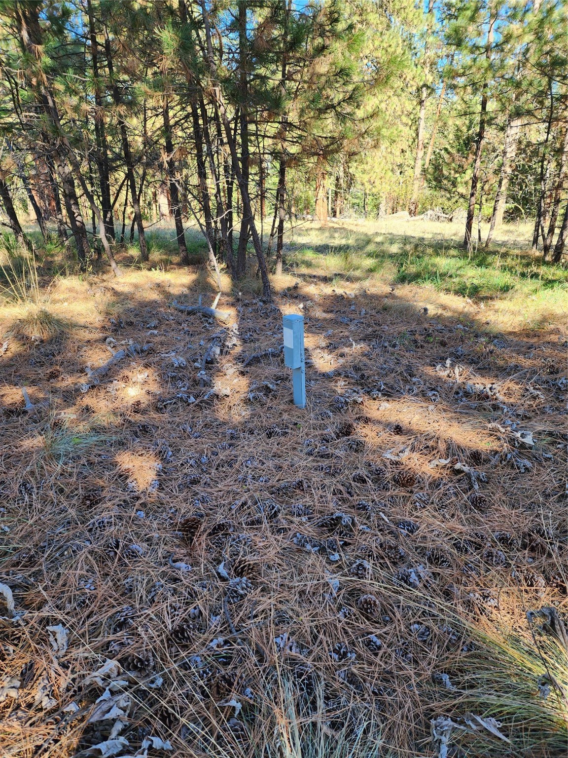 16300 Circle View Drive