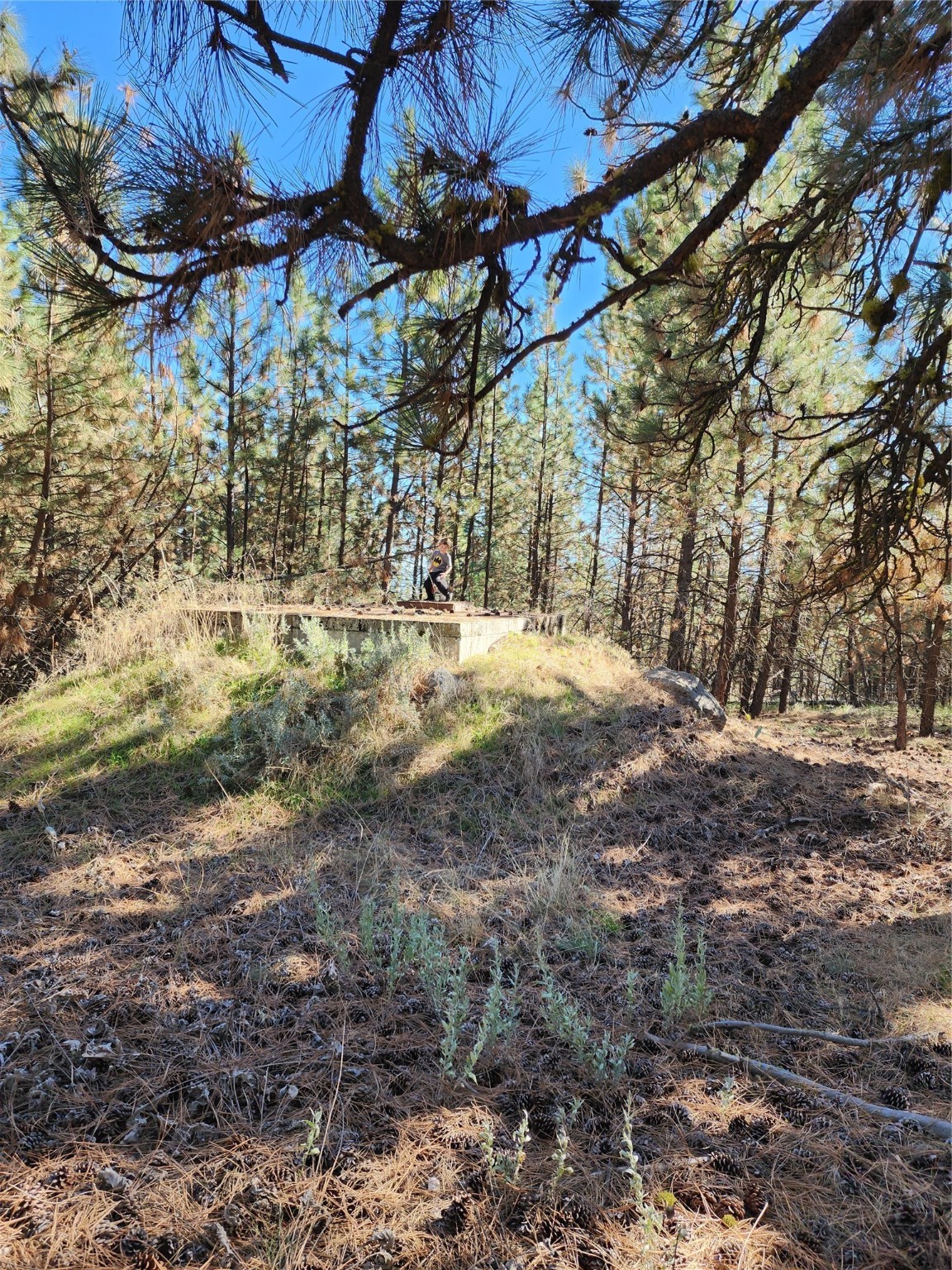 16300 Circle View Drive