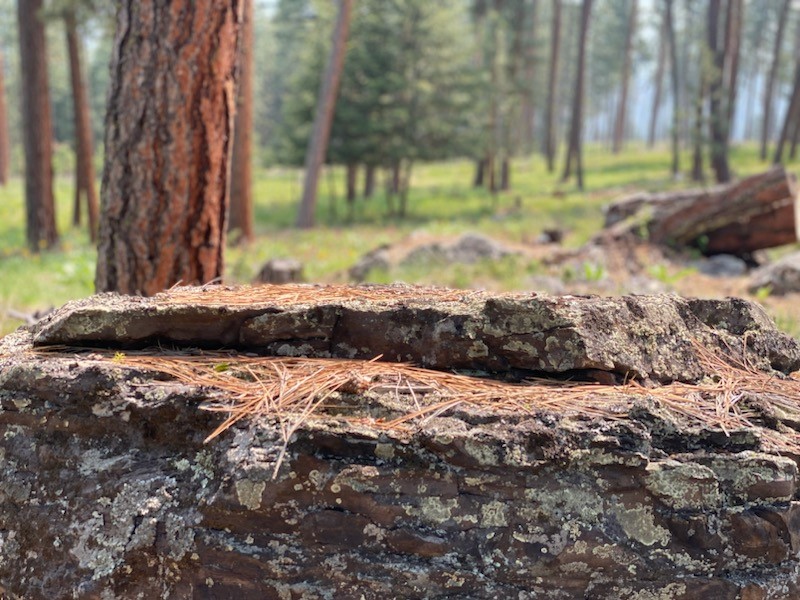 16300 Circle View Drive