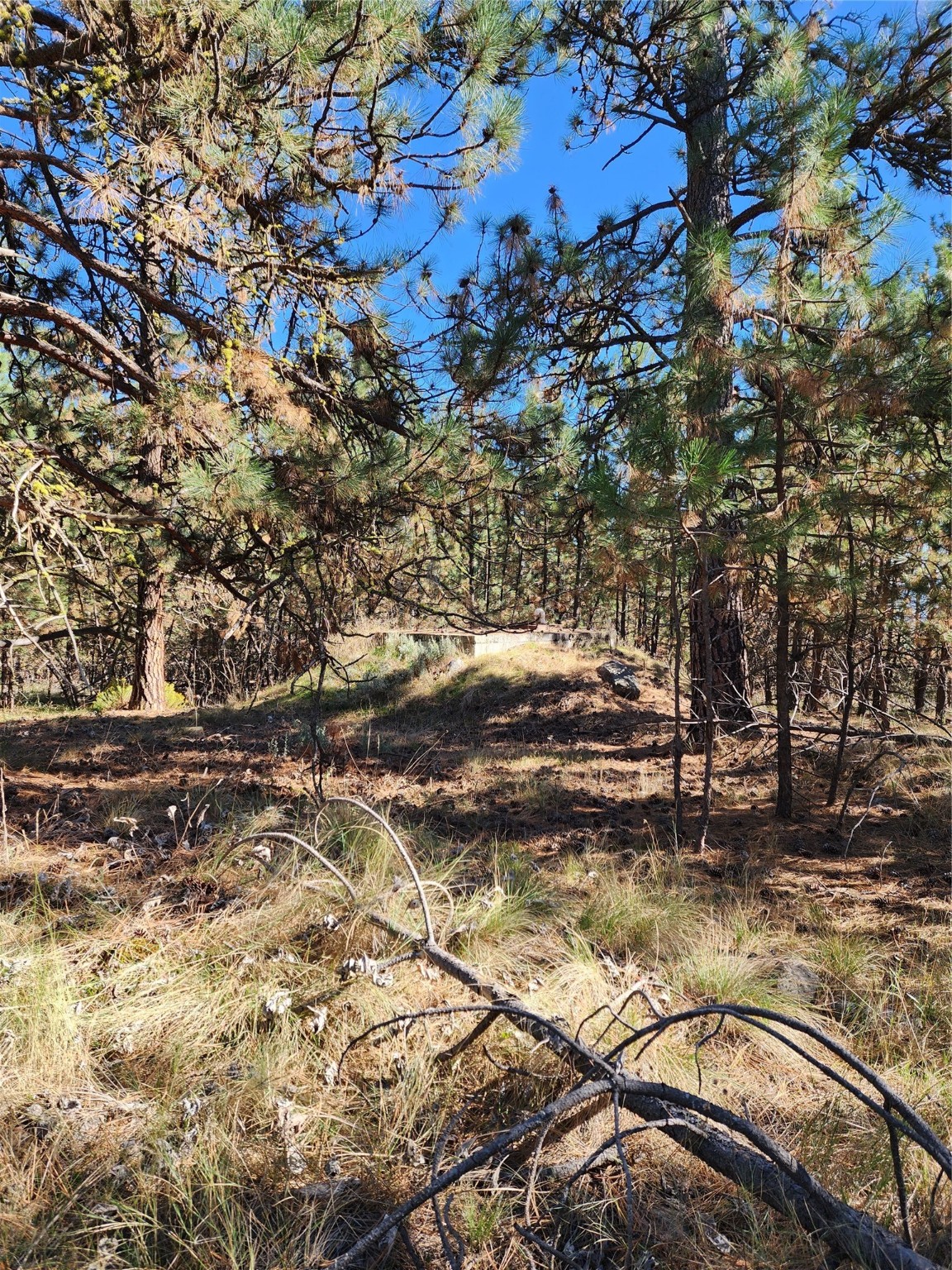 16300 Circle View Drive