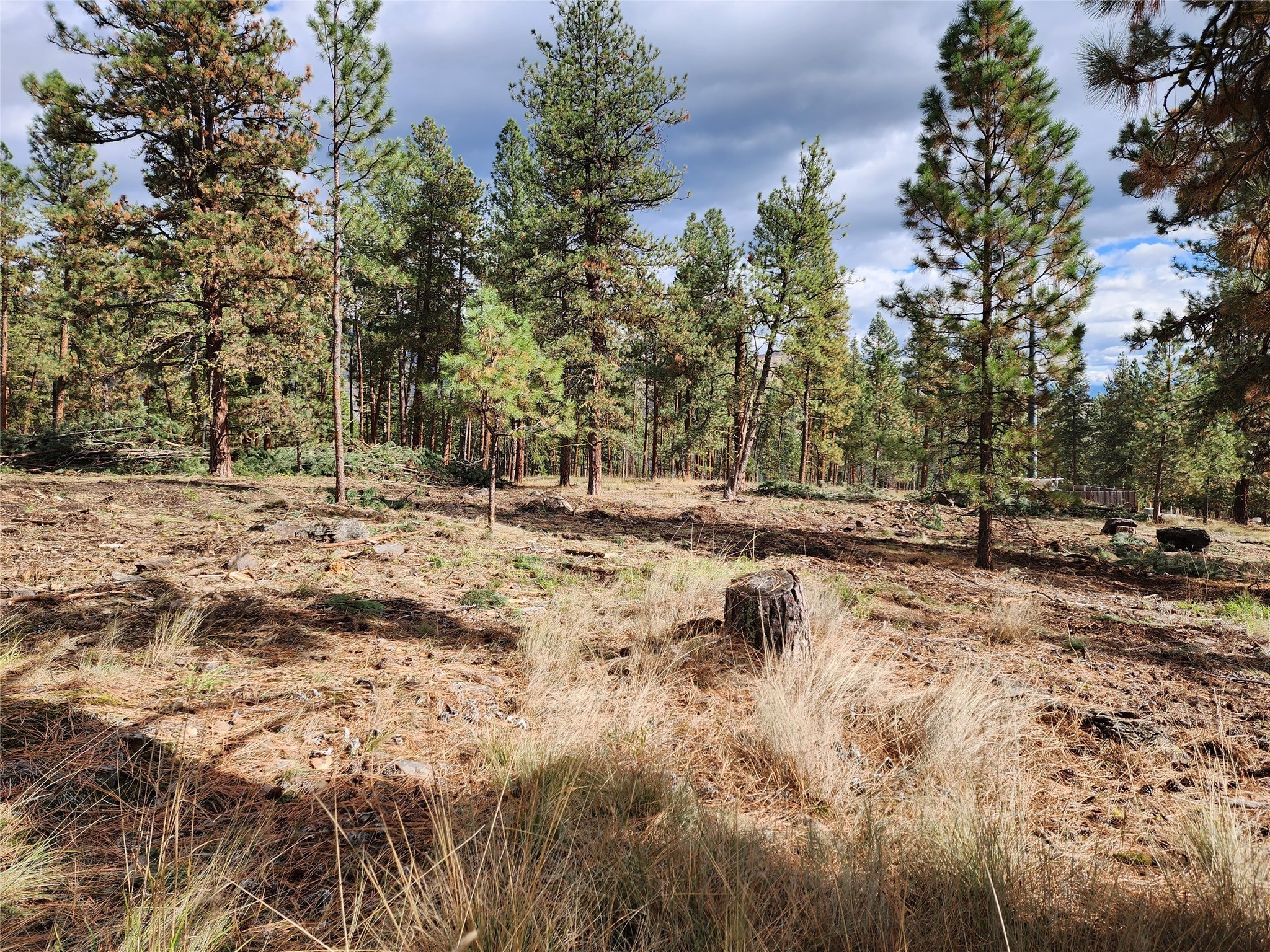 16300 Circle View Drive