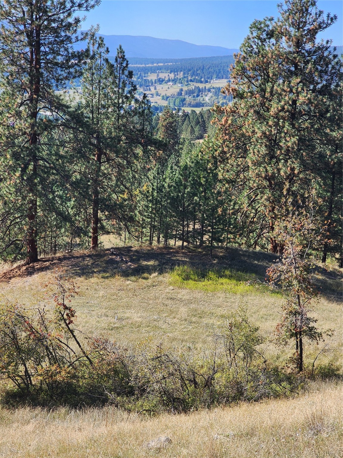 16300 Circle View Drive