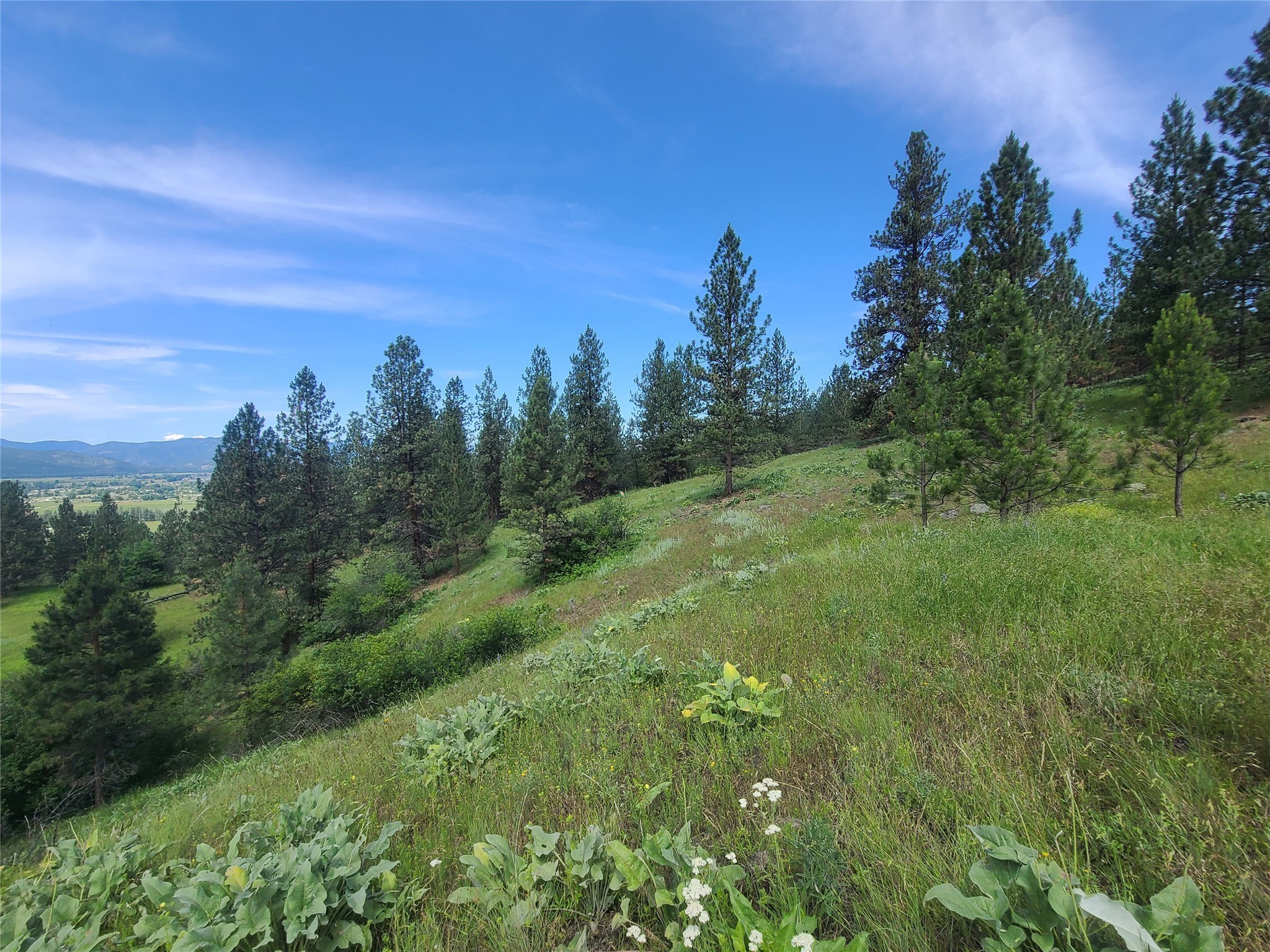 16300 Circle View Drive