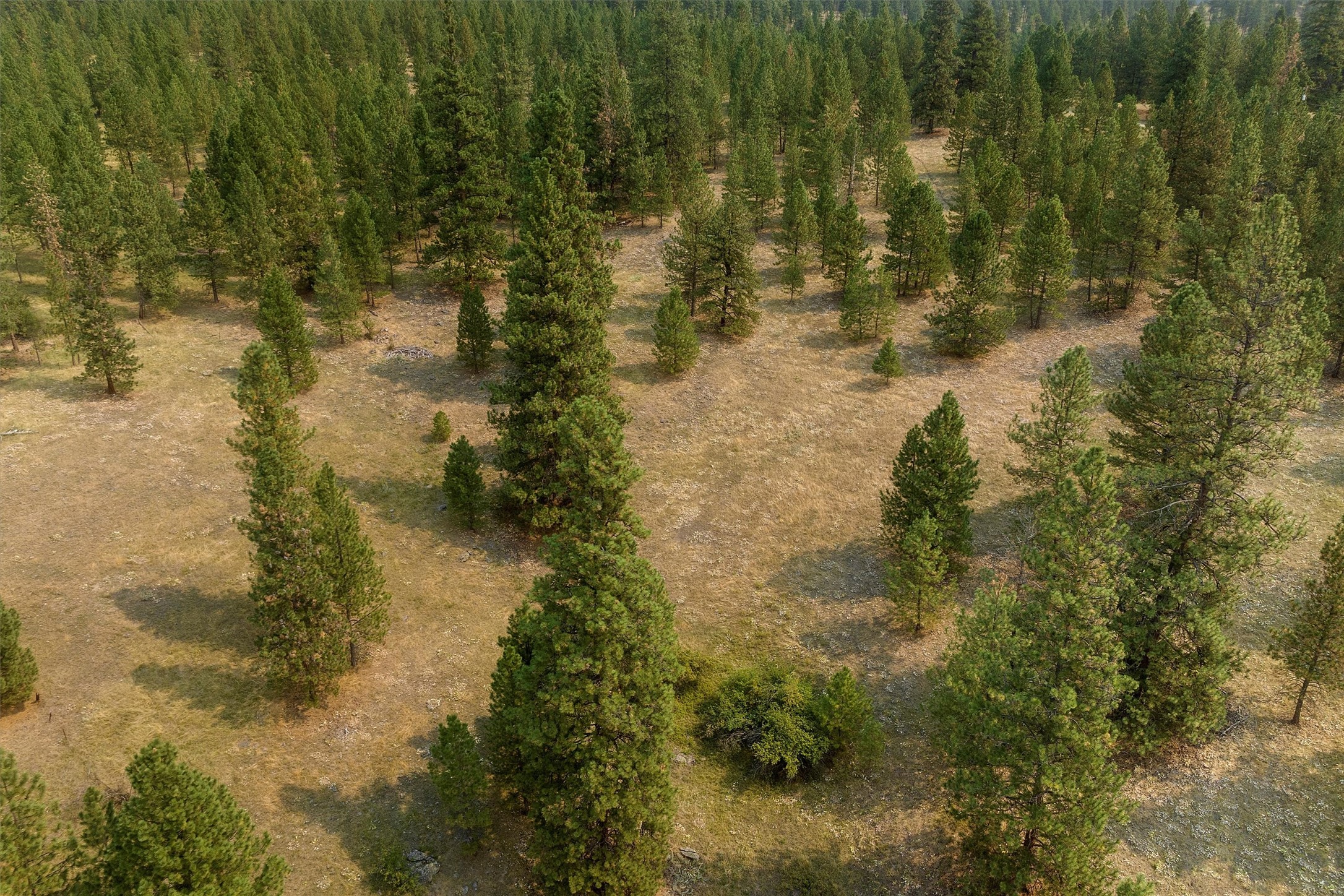 16300 Circle View Drive