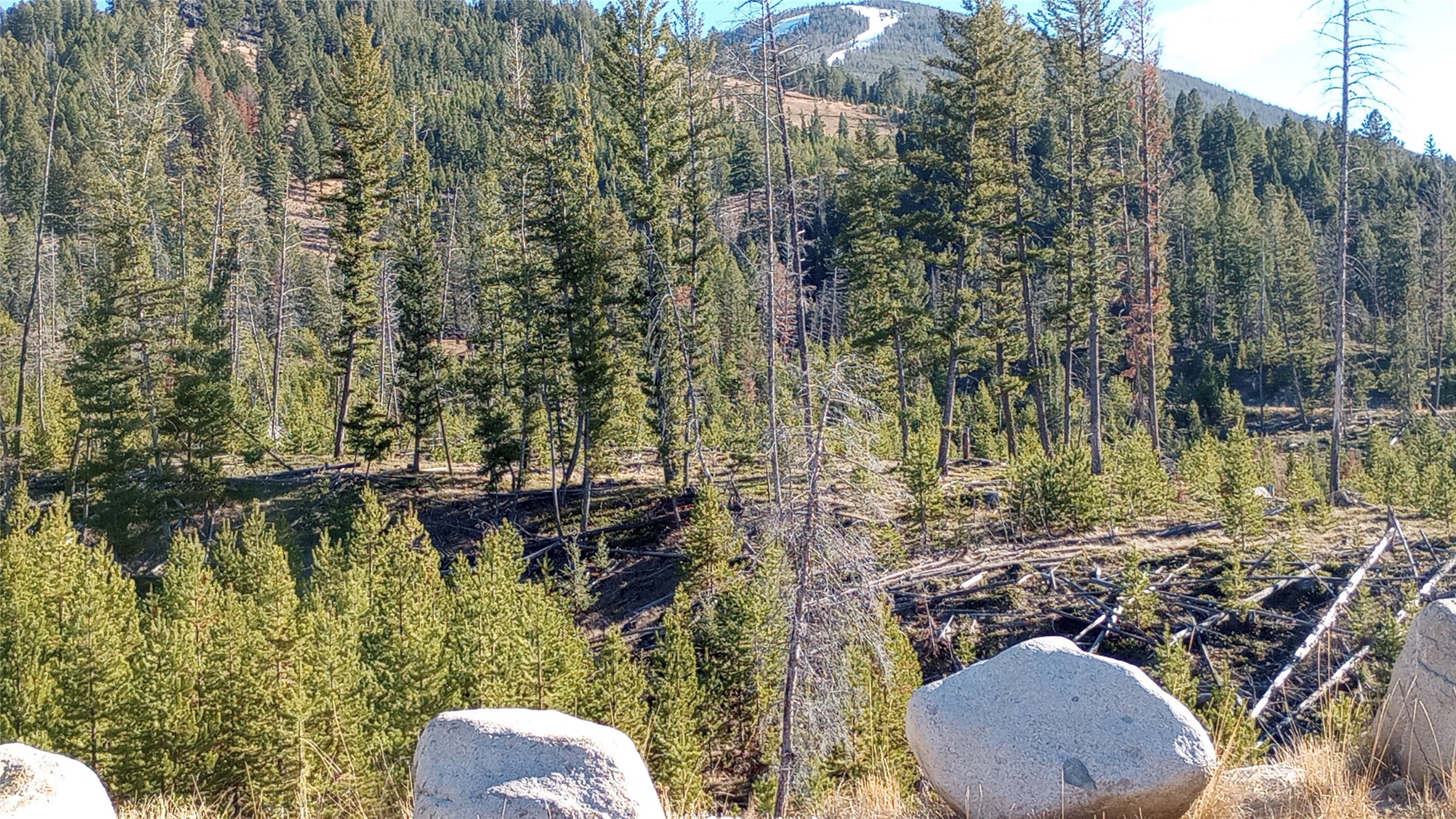 TBD Summer Gulch Road