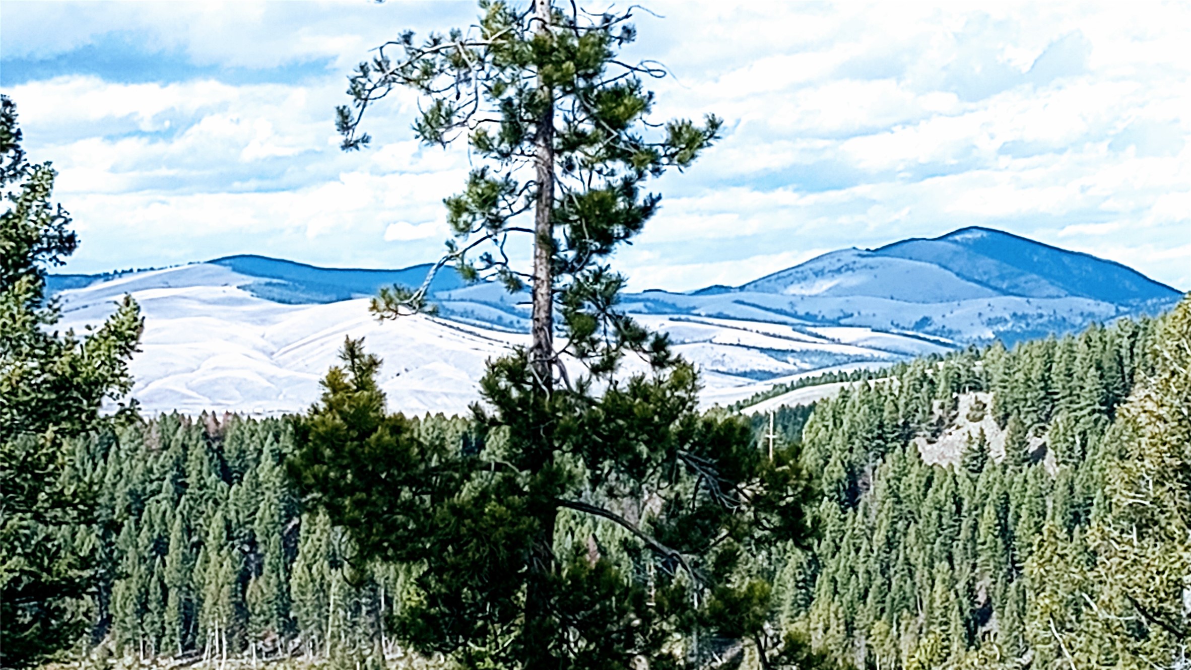 TBD Summer Gulch Road