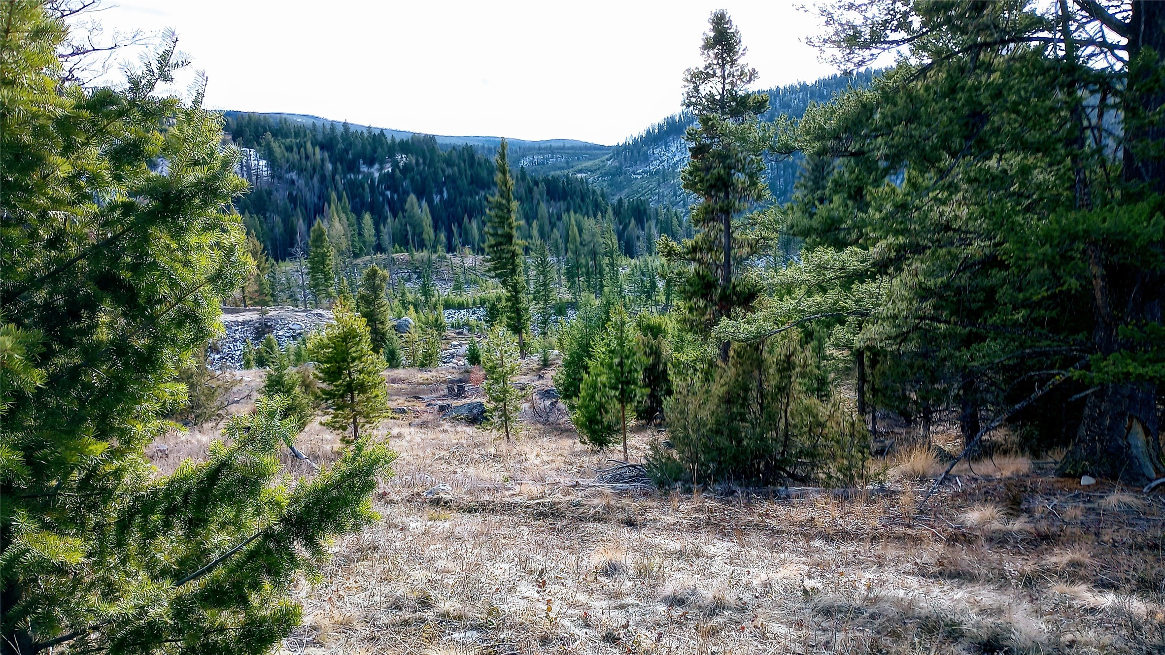 TBD Summer Gulch Road