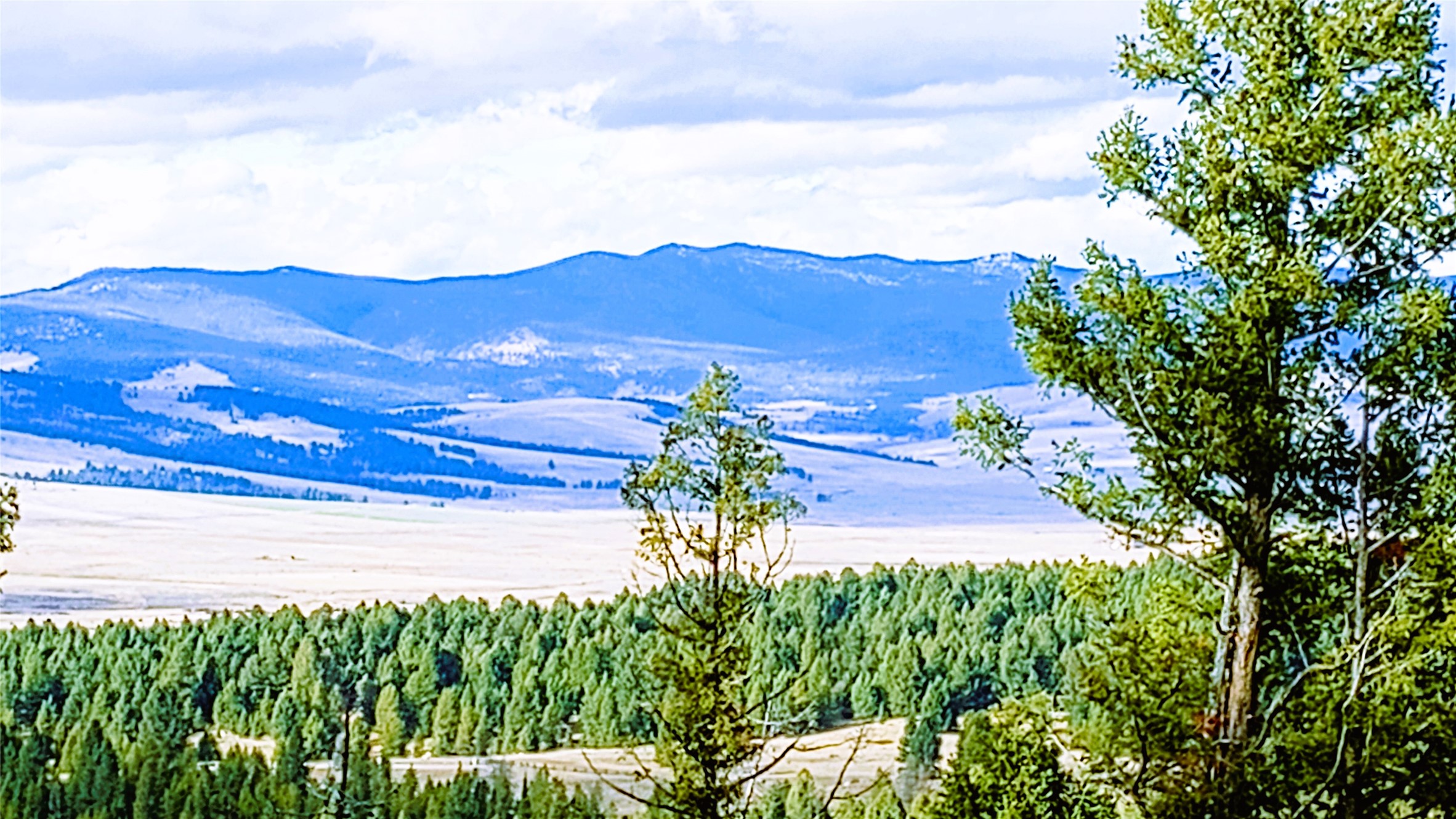 TBD Summer Gulch Road