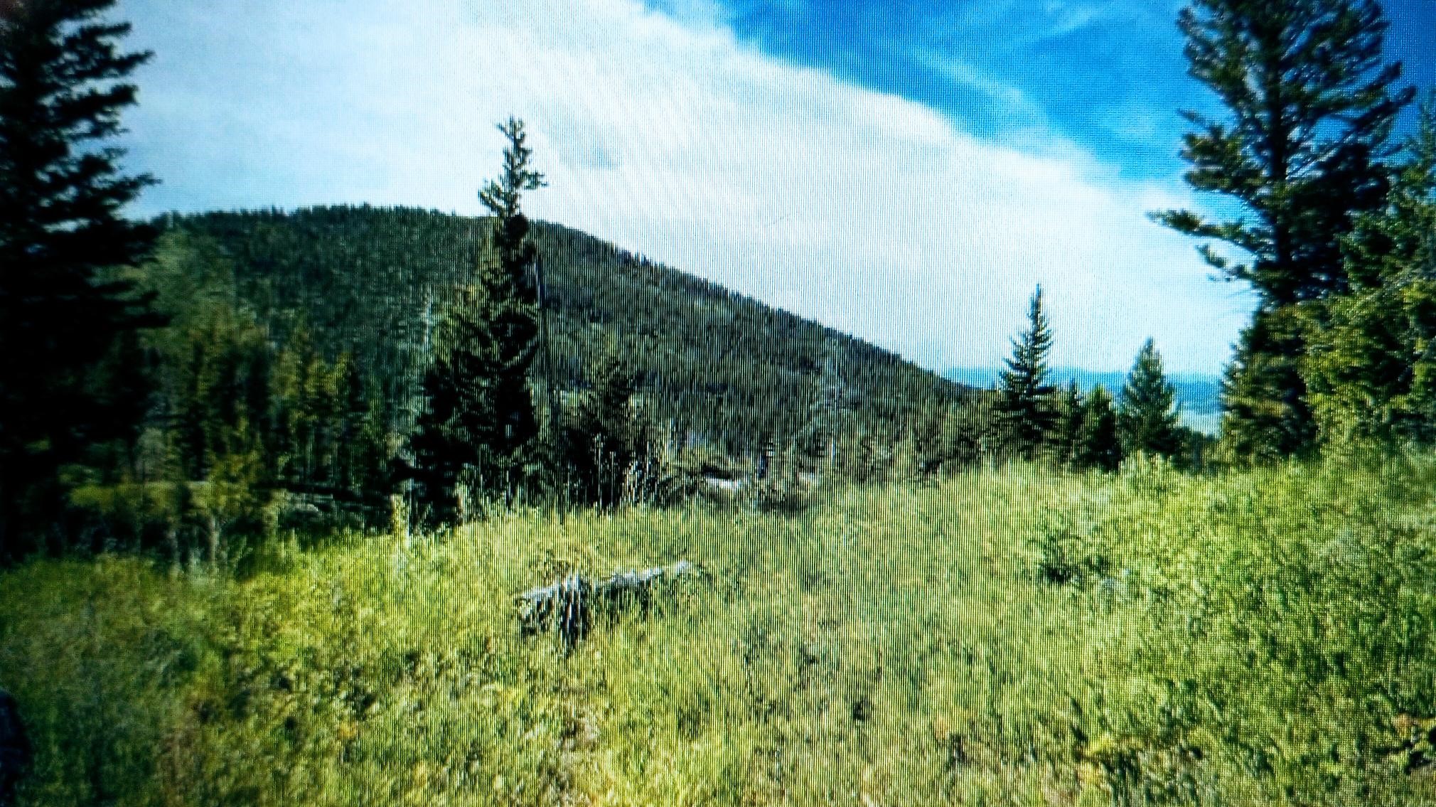 TBD Summer Gulch Road