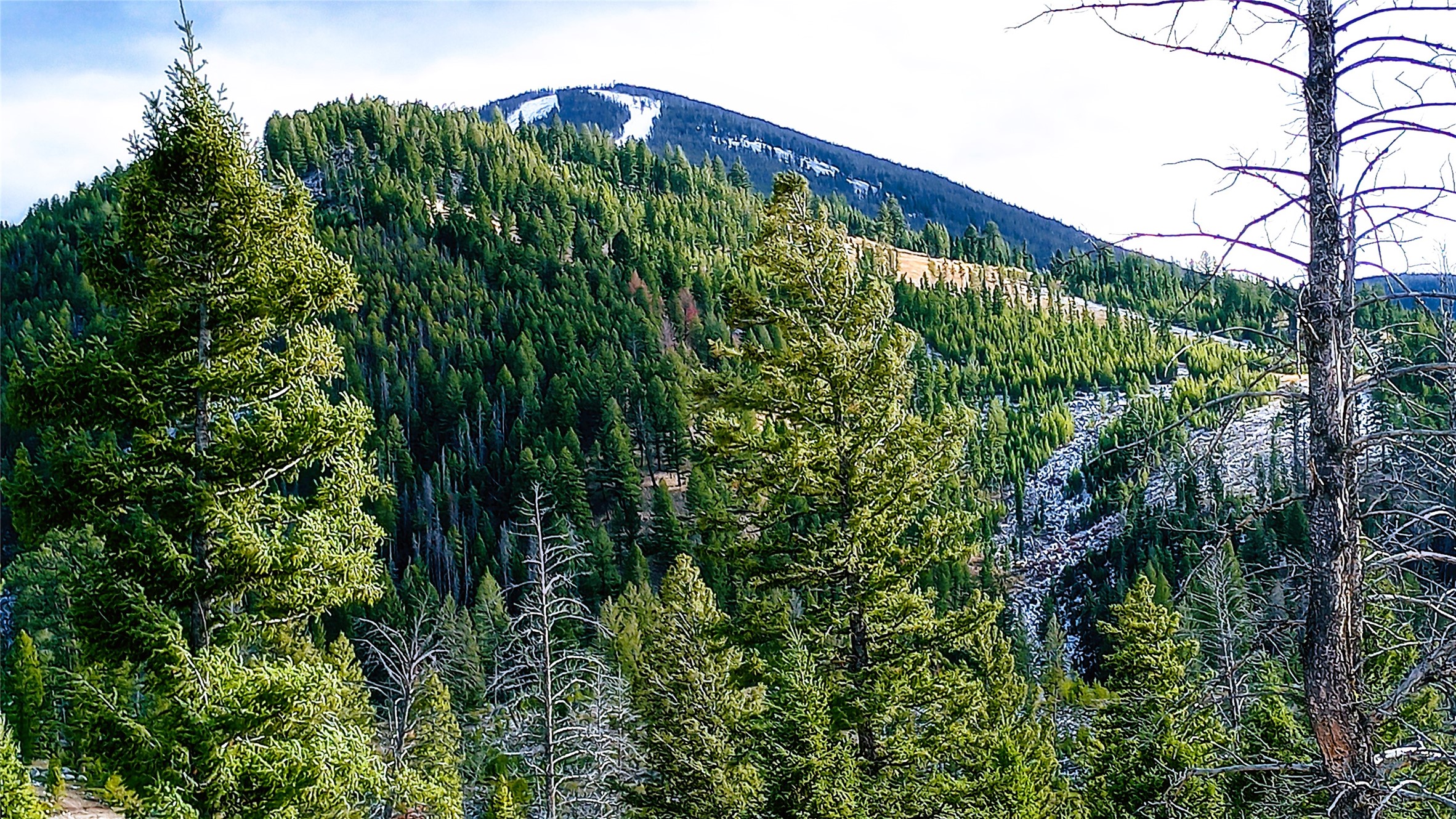 TBD Summer Gulch Road