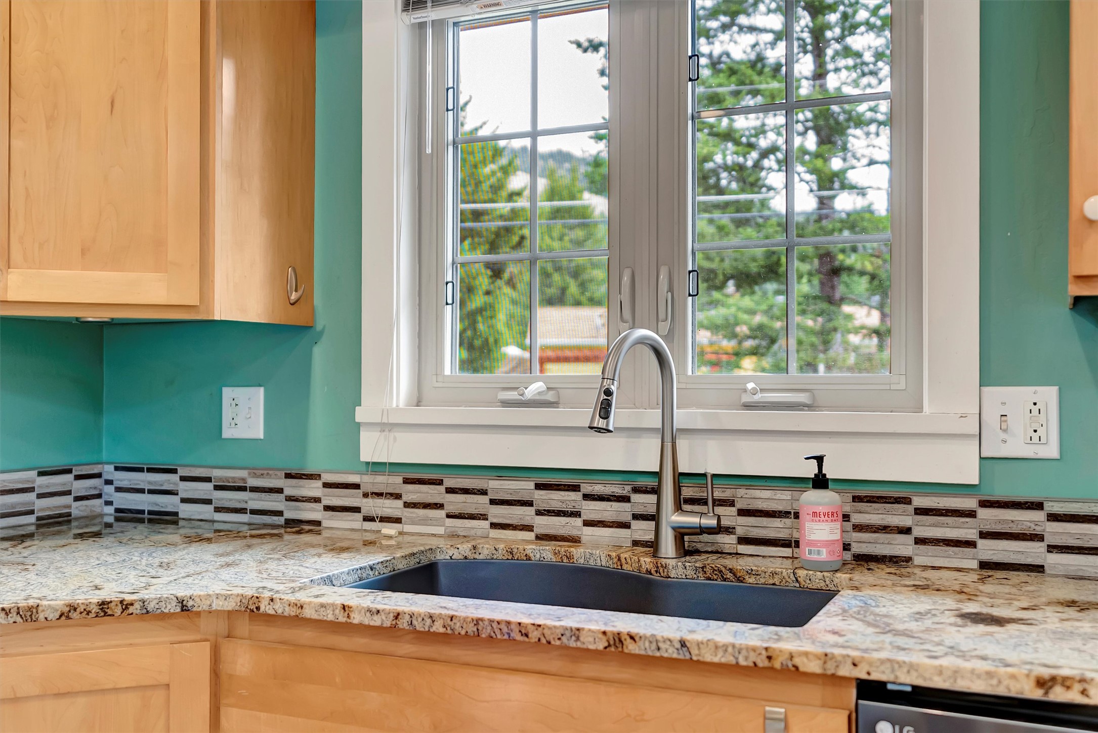 4628 Rattlesnake Drive