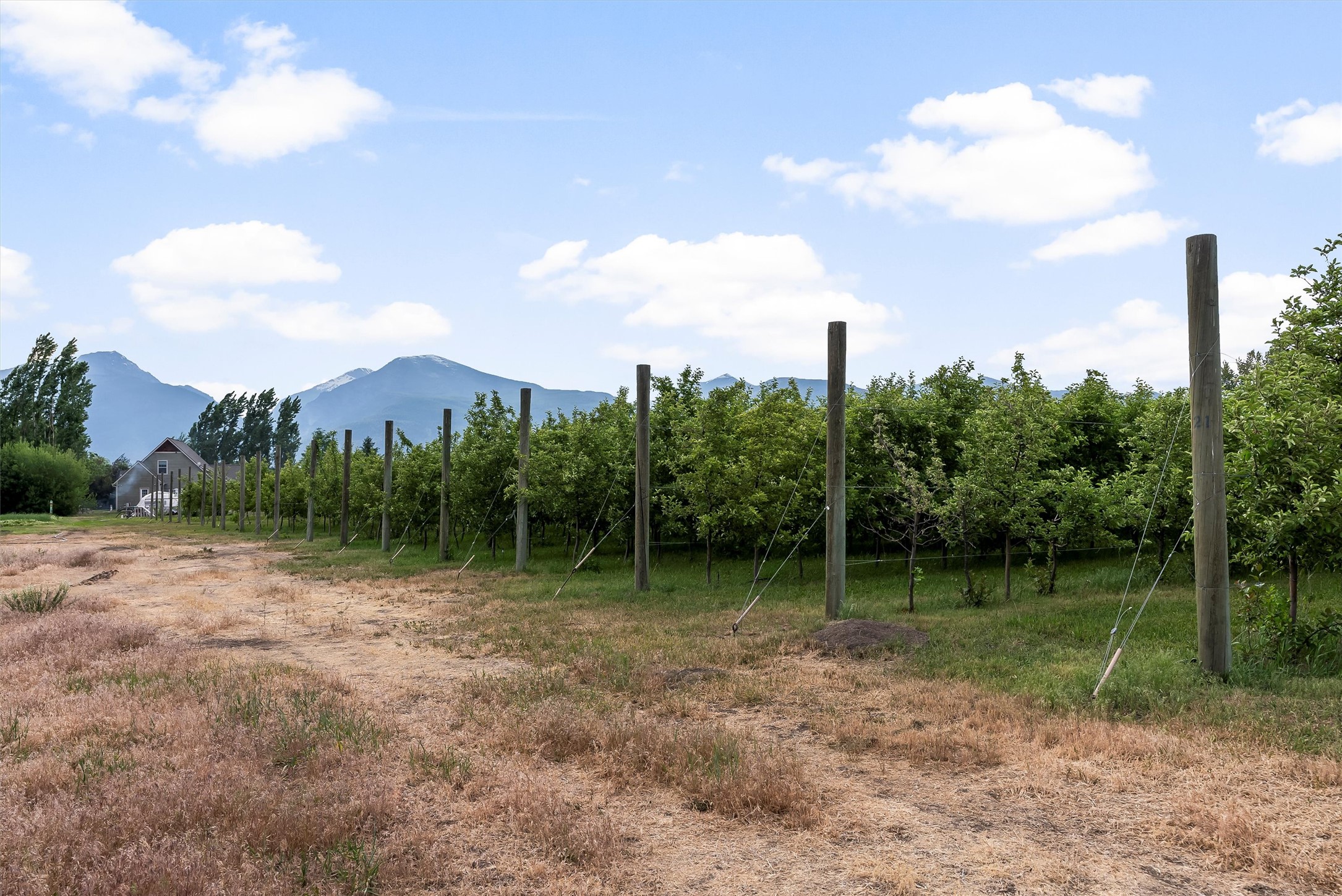 5014 Eastside Highway