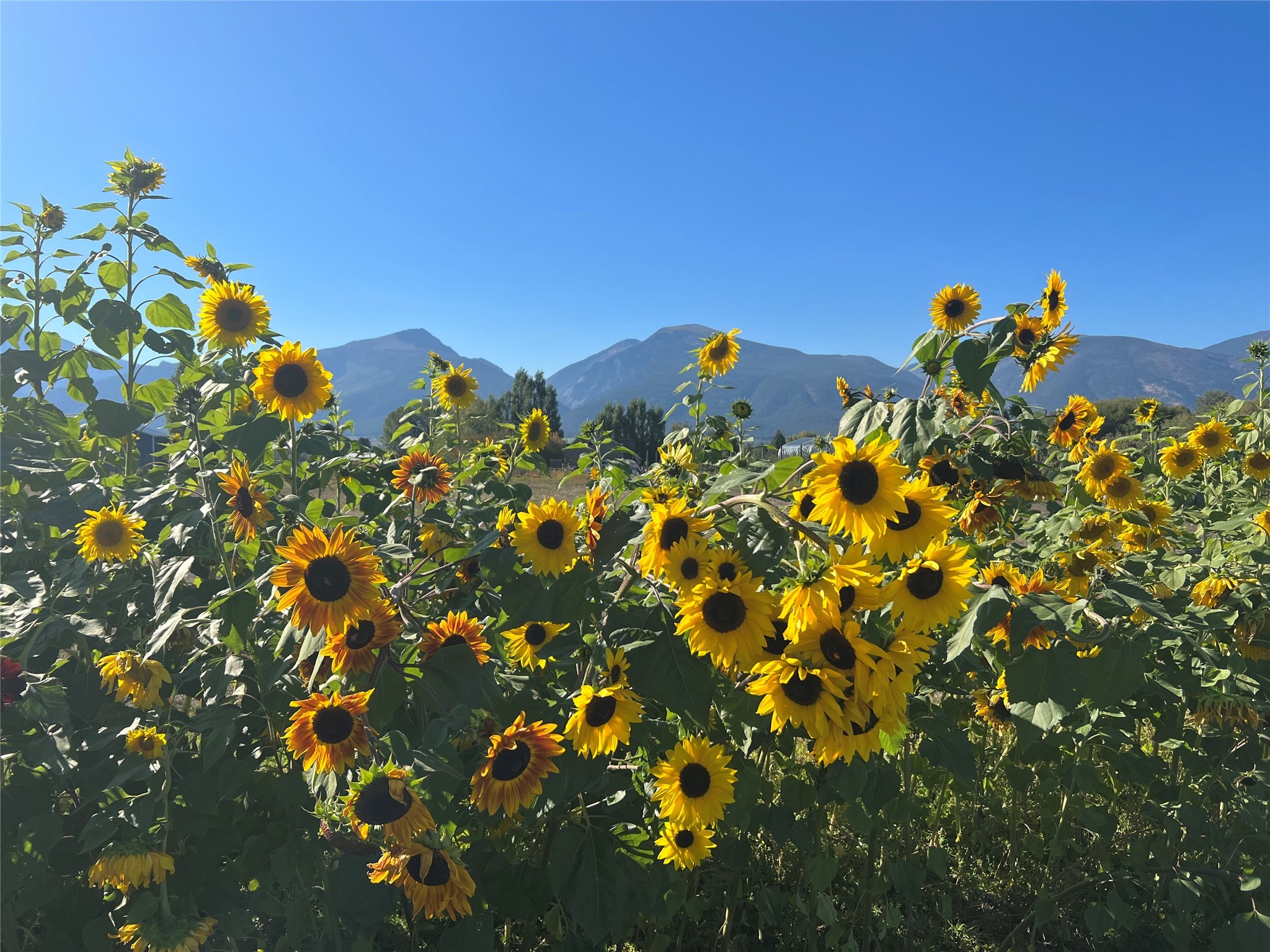 5014 Eastside Highway