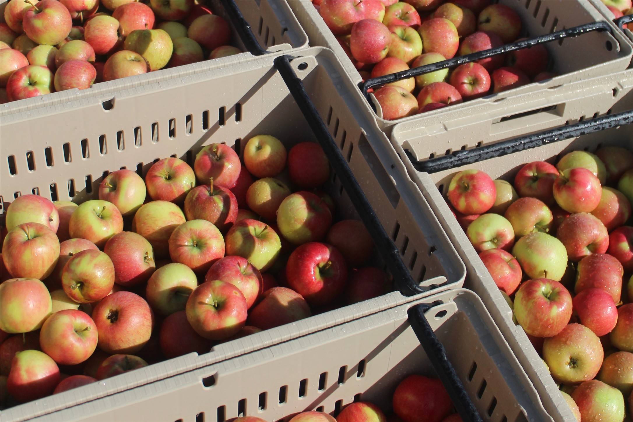 5014 Eastside Highway