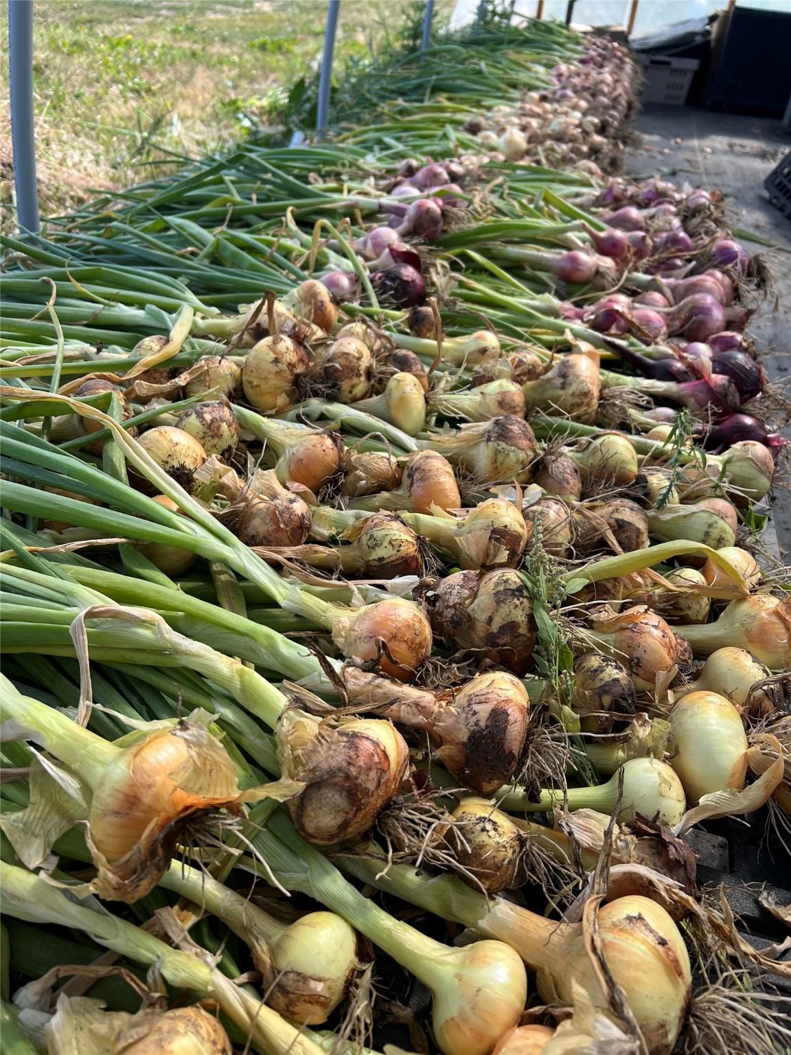 5014 Eastside Highway