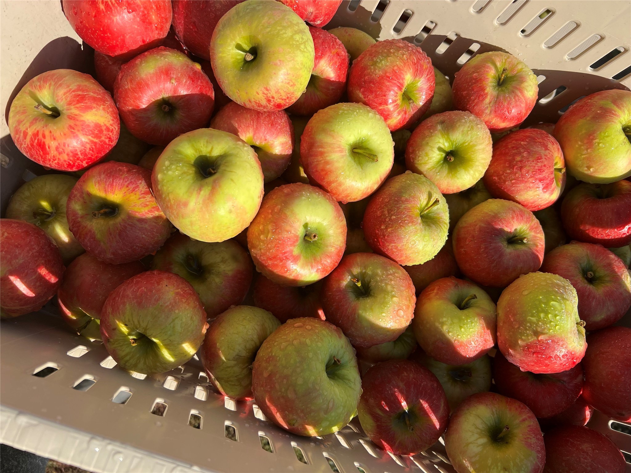 5014 Eastside Highway