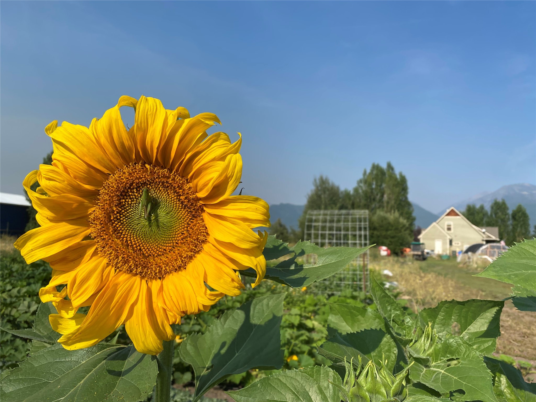 5014 Eastside Highway