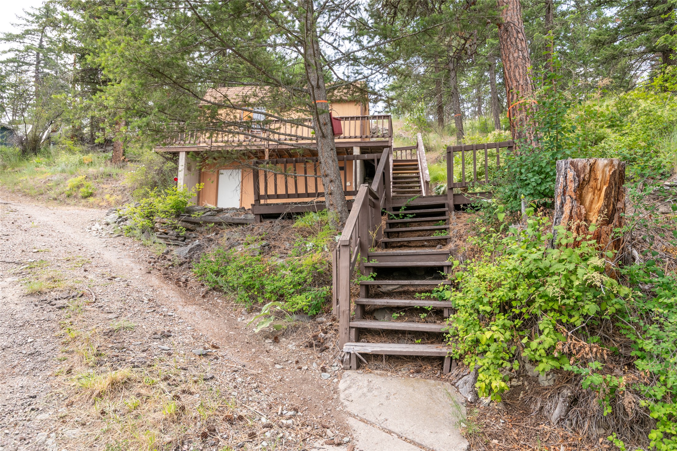 29276 White Swan Road