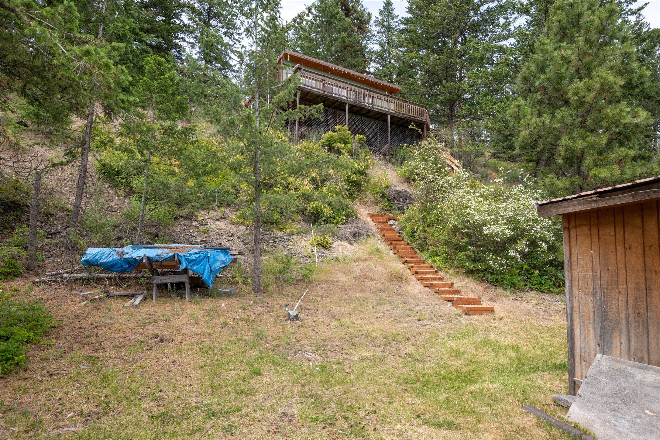 29276 White Swan Road