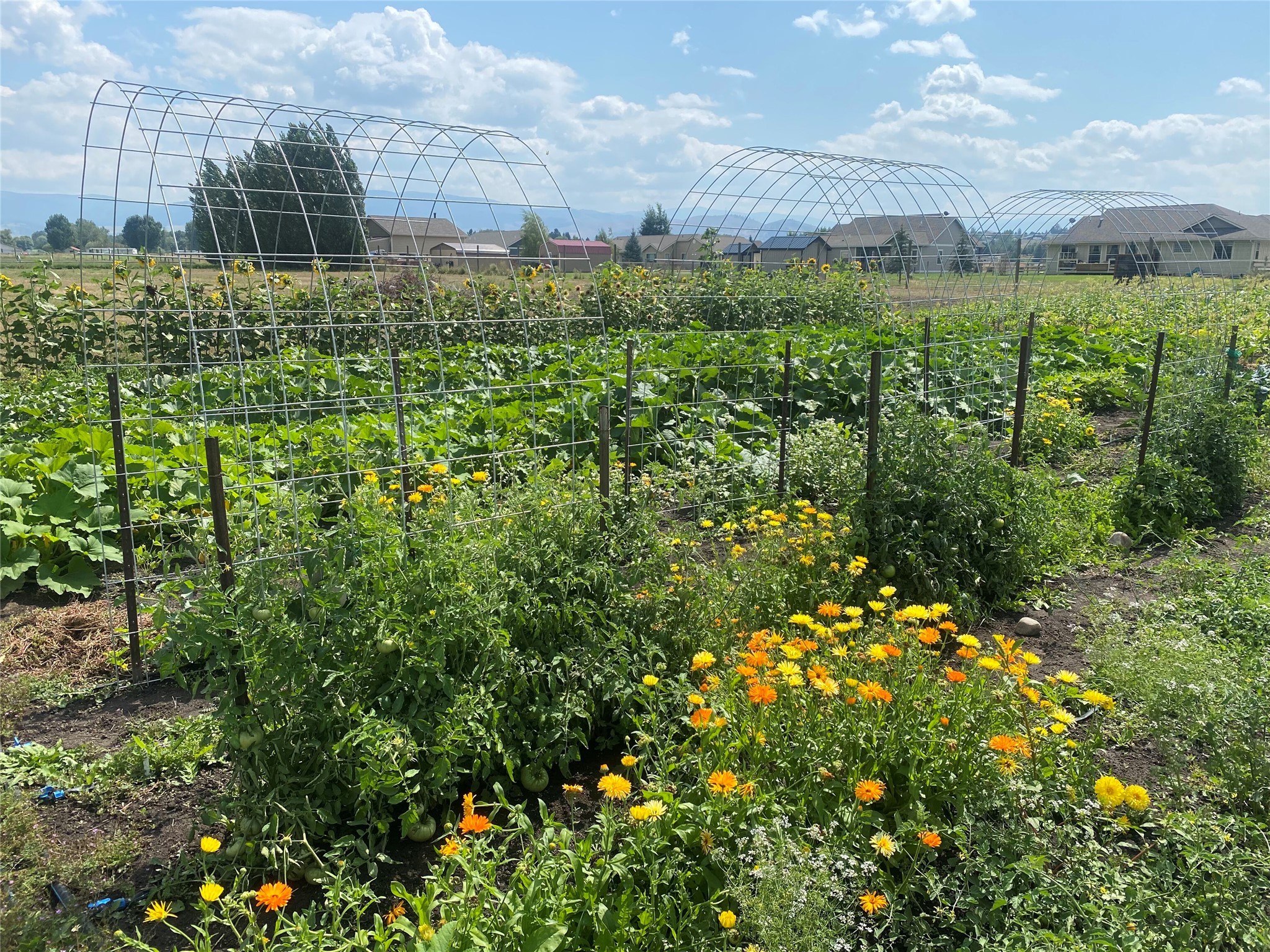 5014 Eastside Highway