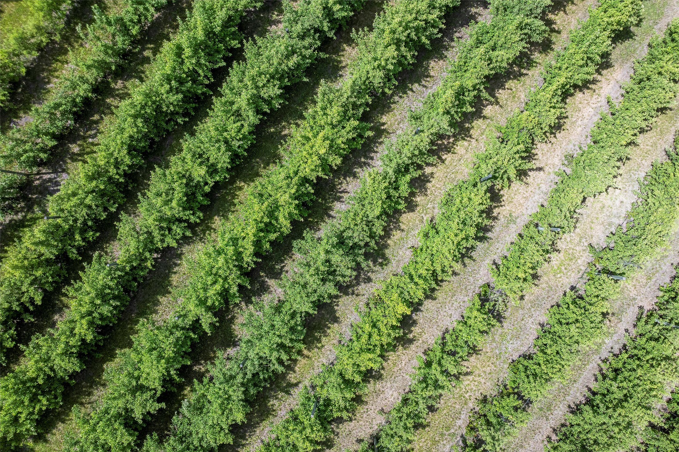 5014 Eastside Highway