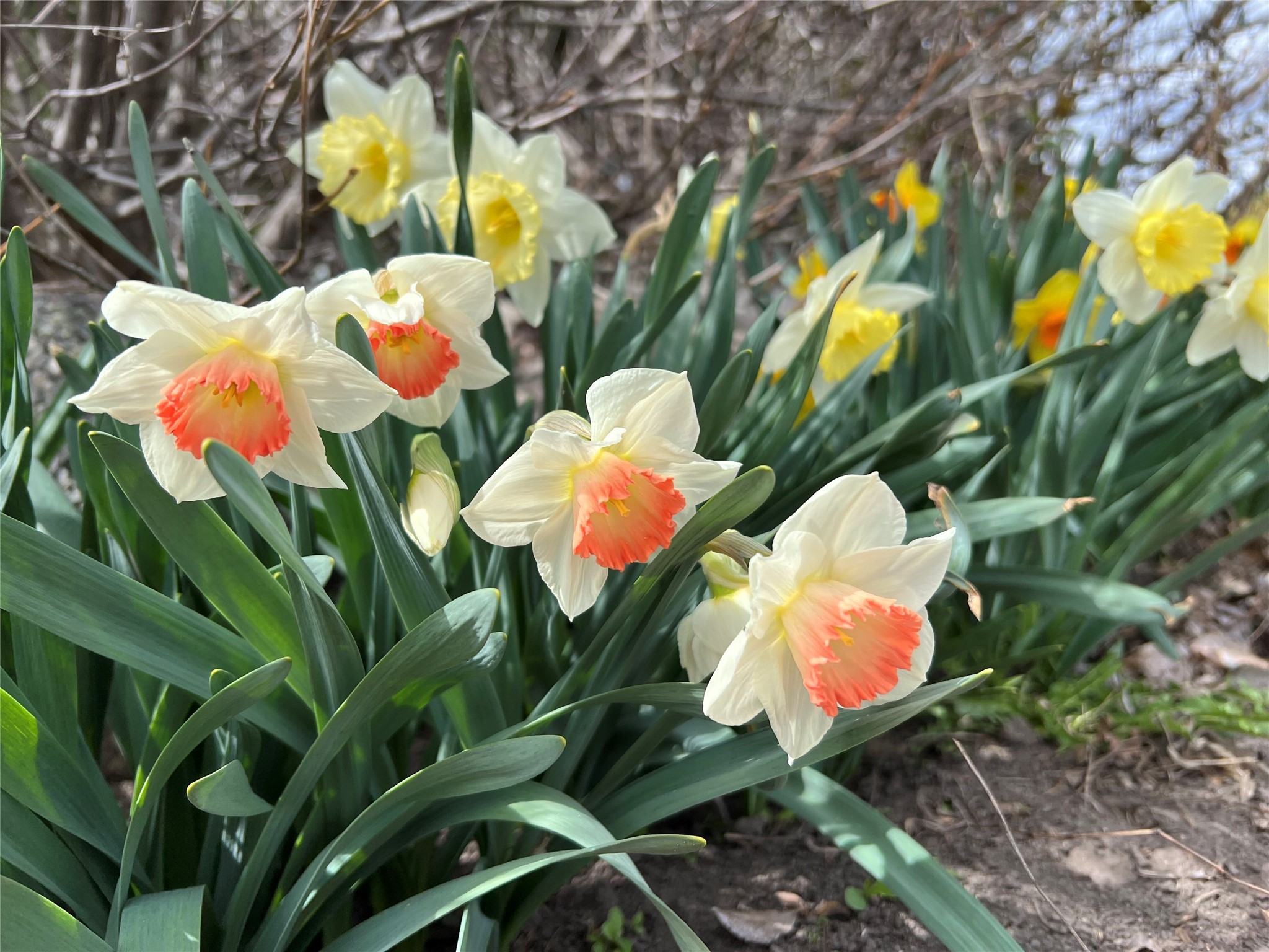 5014 Eastside Highway