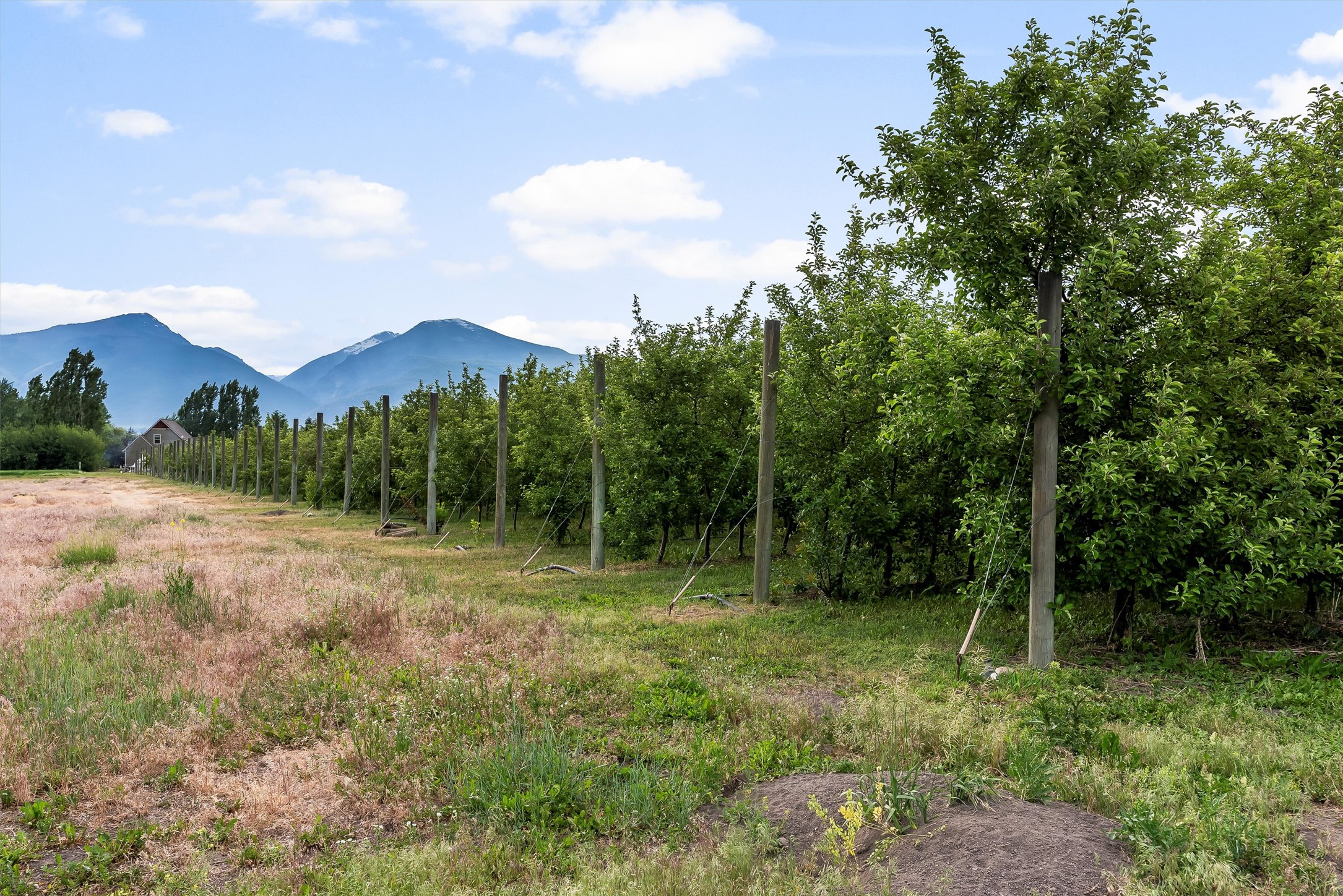 5014 Eastside Highway