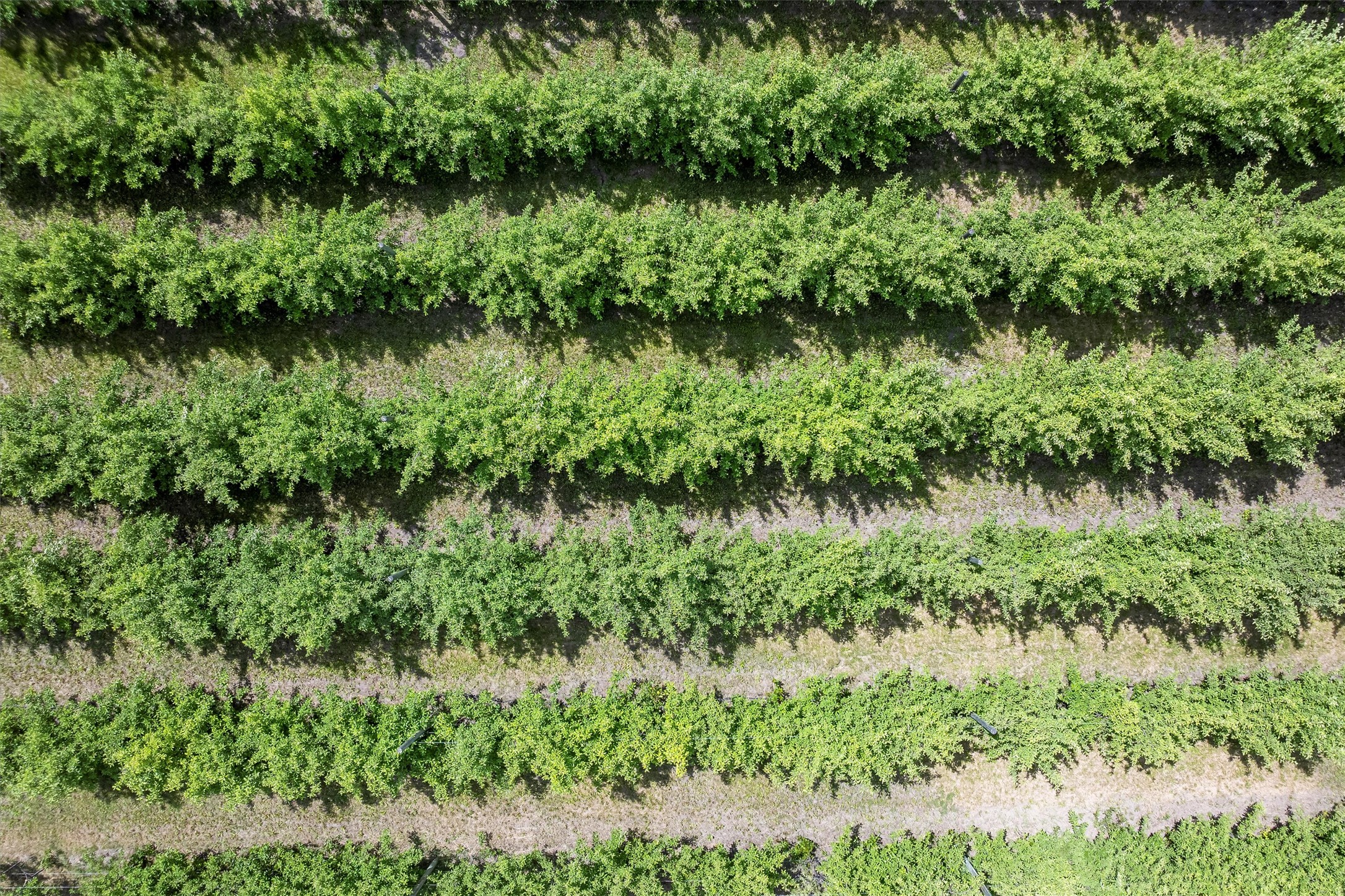 5014 Eastside Highway