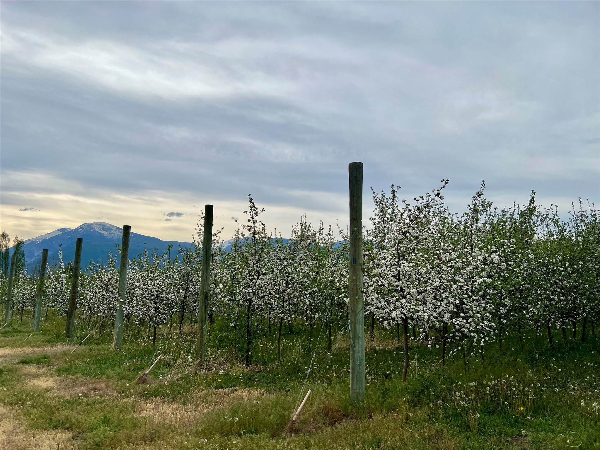 5014 Eastside Highway