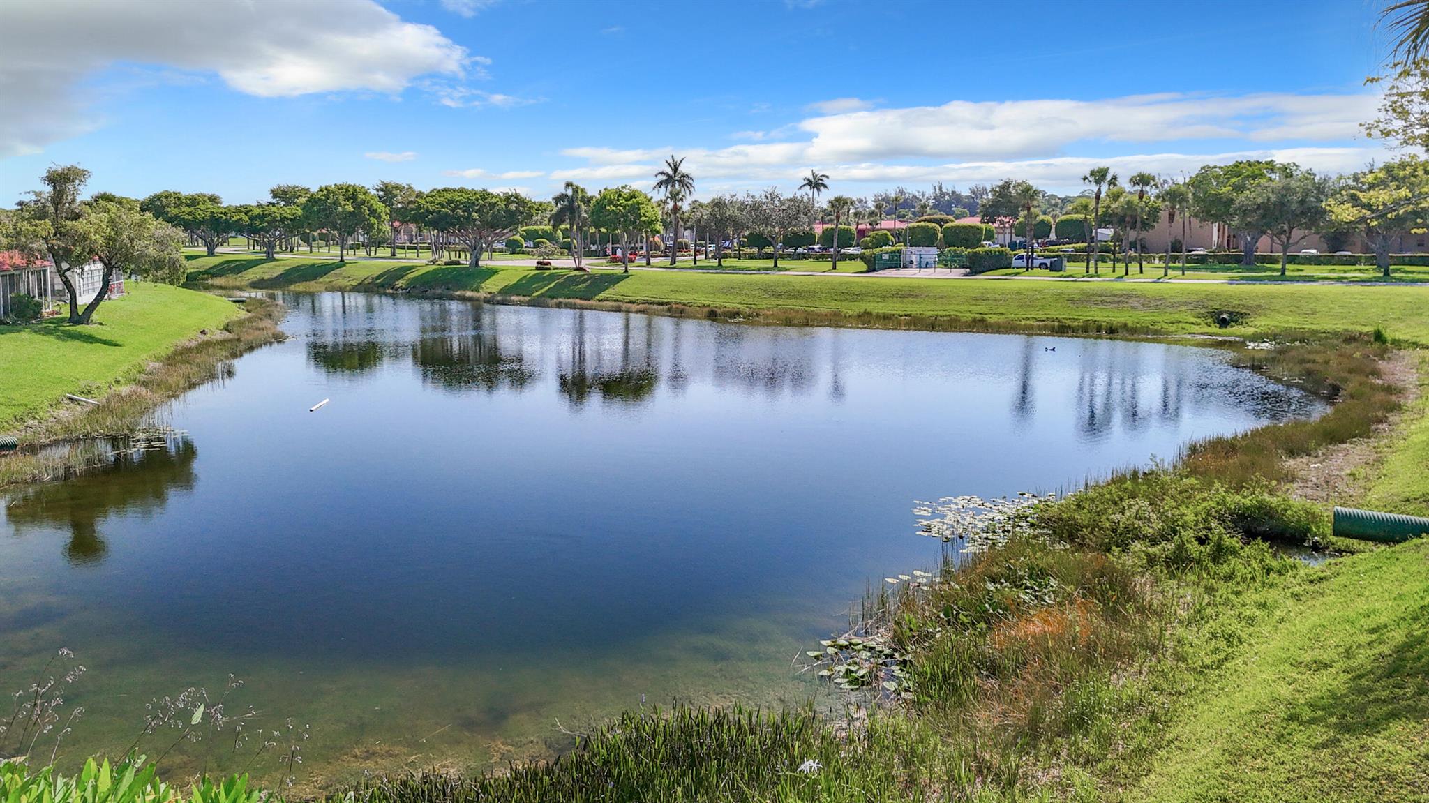 133 Lake Evelyn Drive