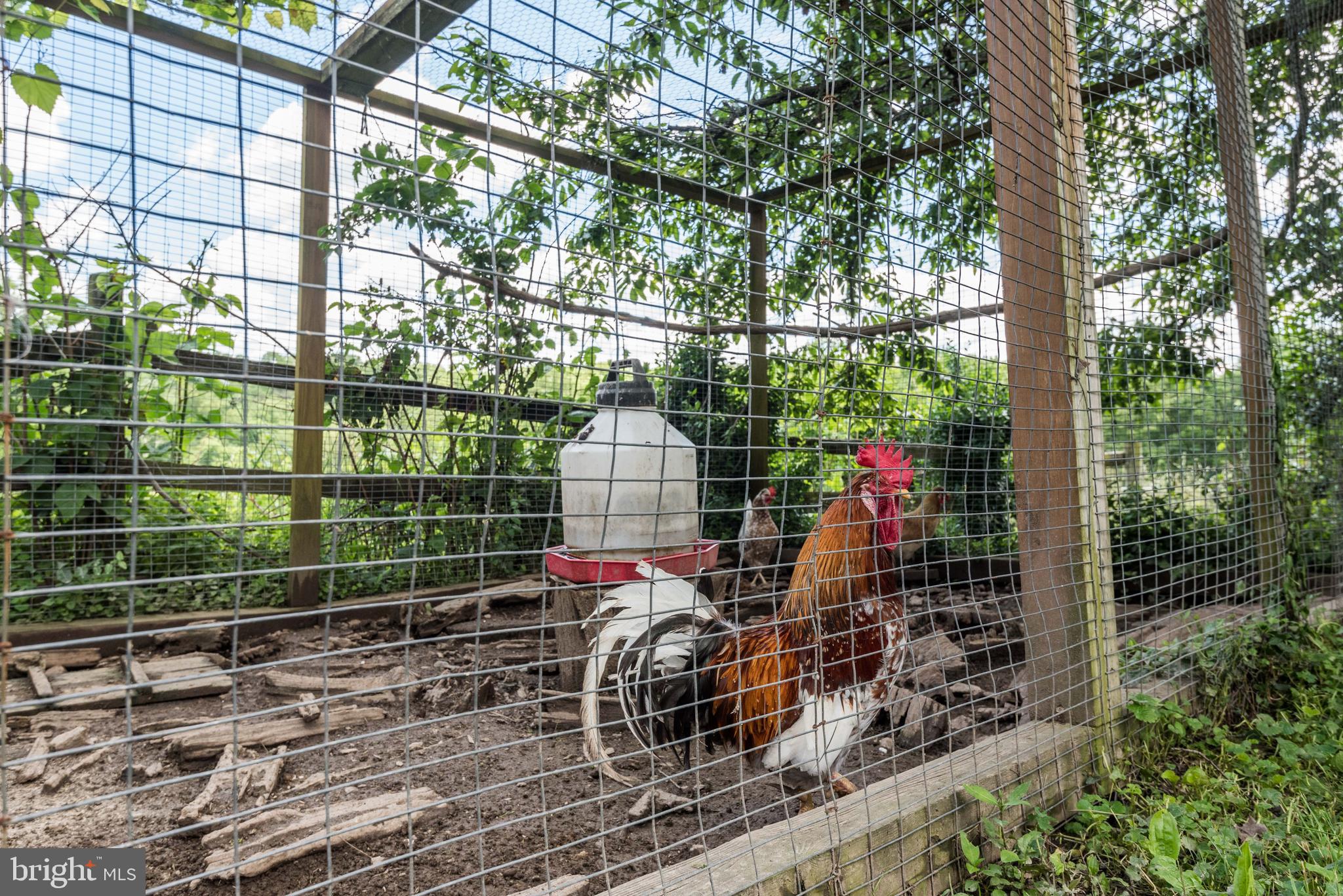 16120 Barnesville Rd