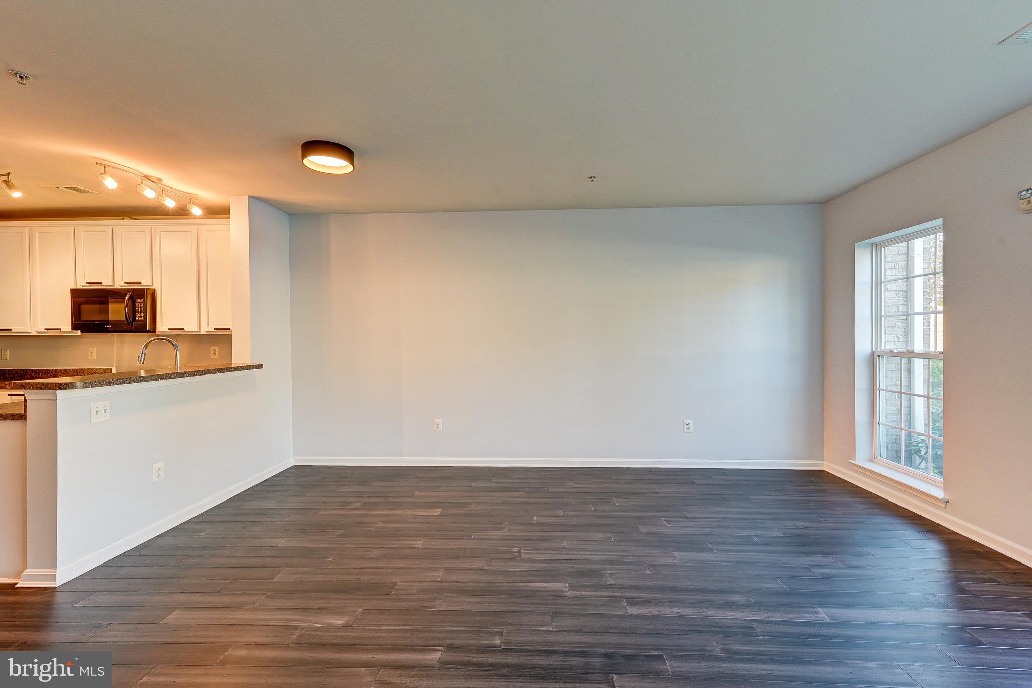 11948 LITTLE SENECA PKWY #2521