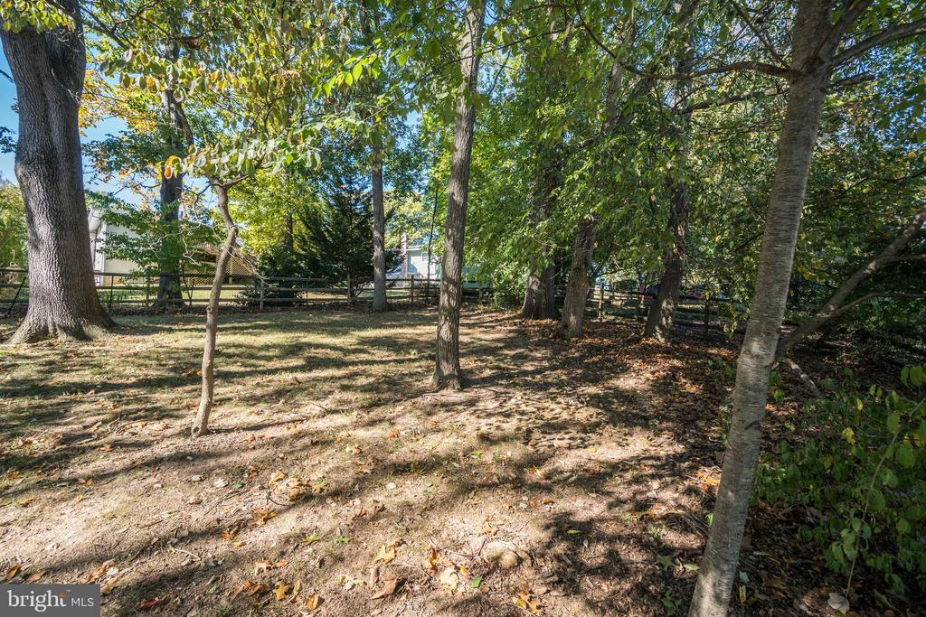 12 SOLITAIRE CT.