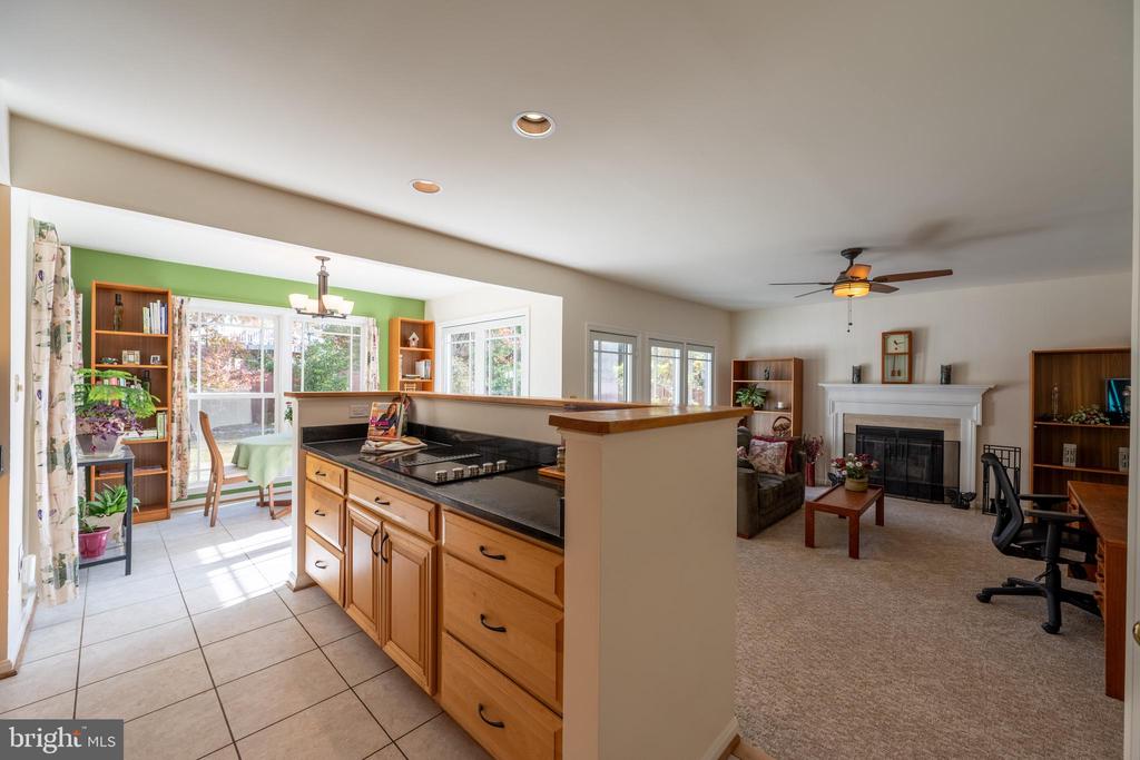 14305 PLATINUM DRIVE