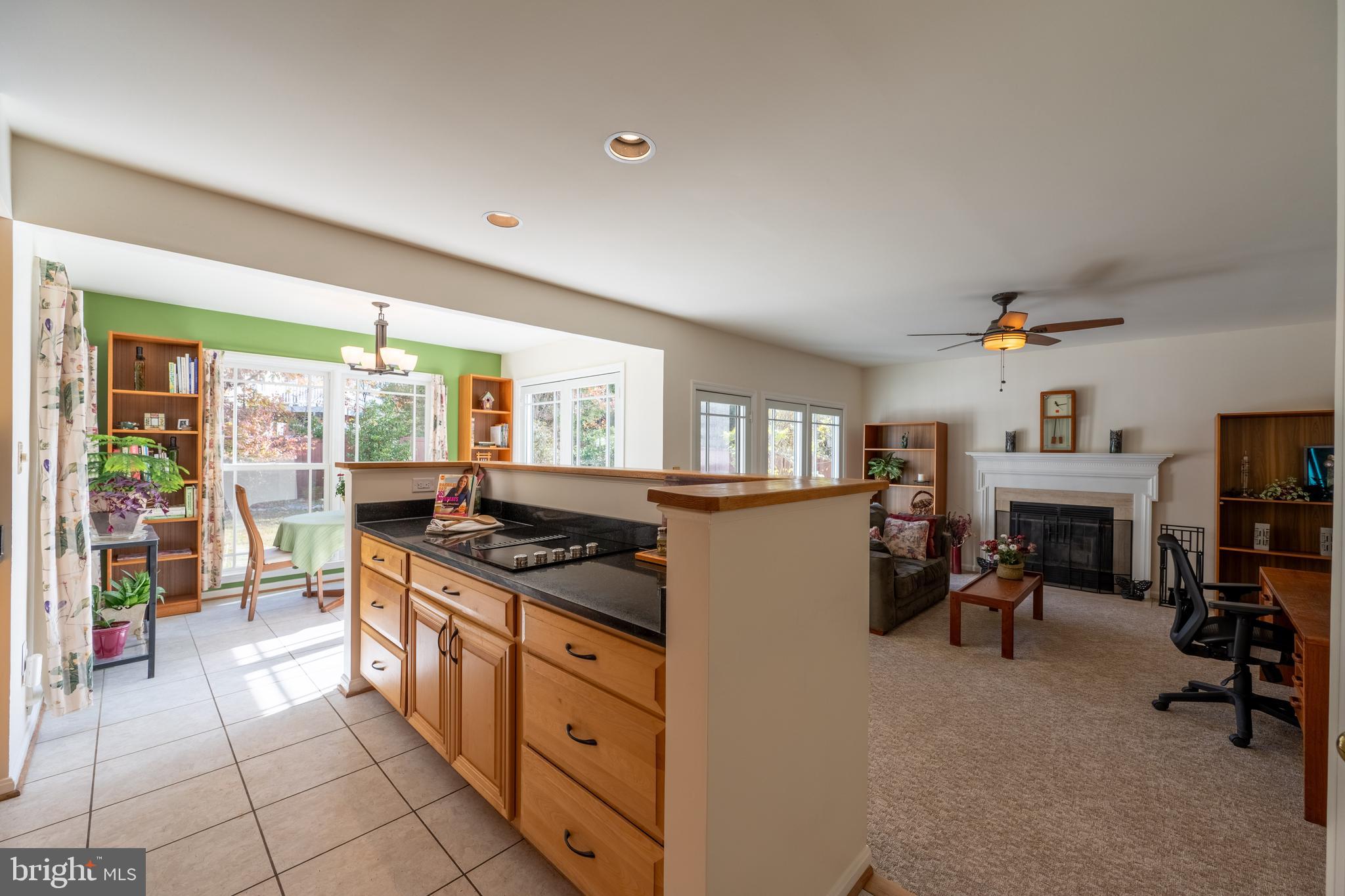 14305 PLATINUM DRIVE