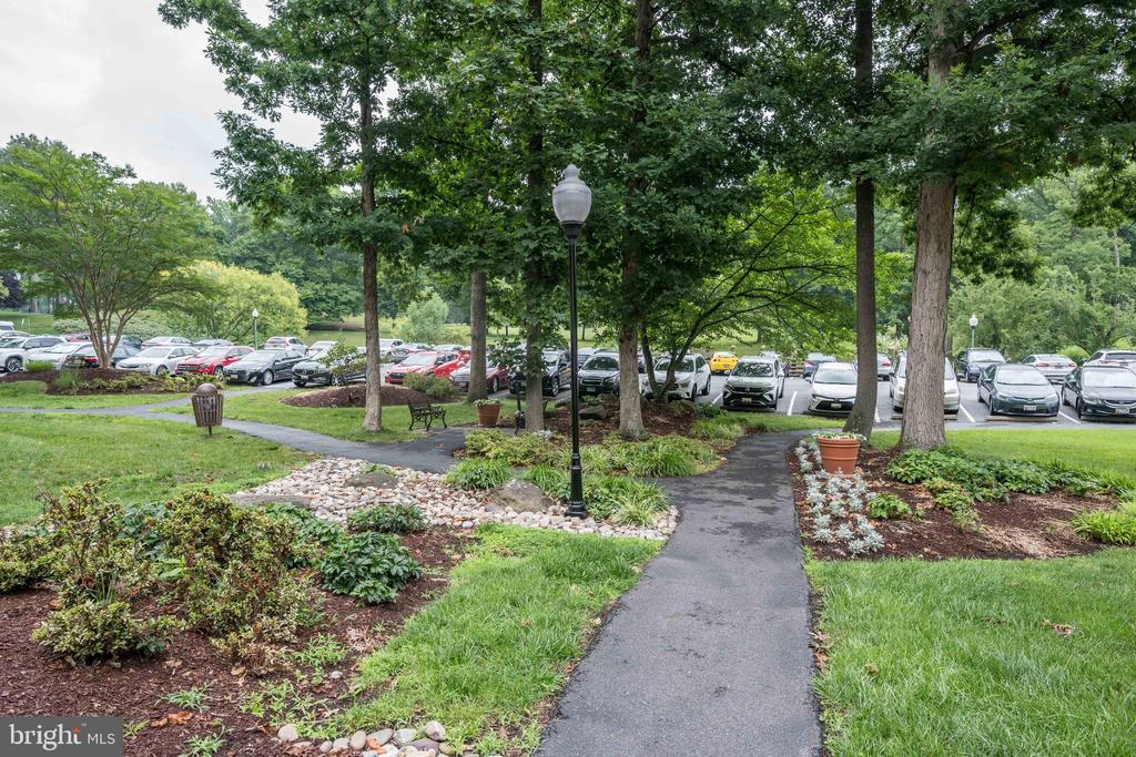 15101 INTERLACHEN DRIVE 1-924