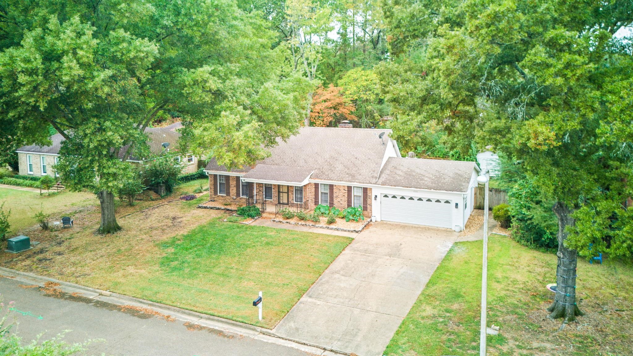 2531 MIMOSA TREE DR