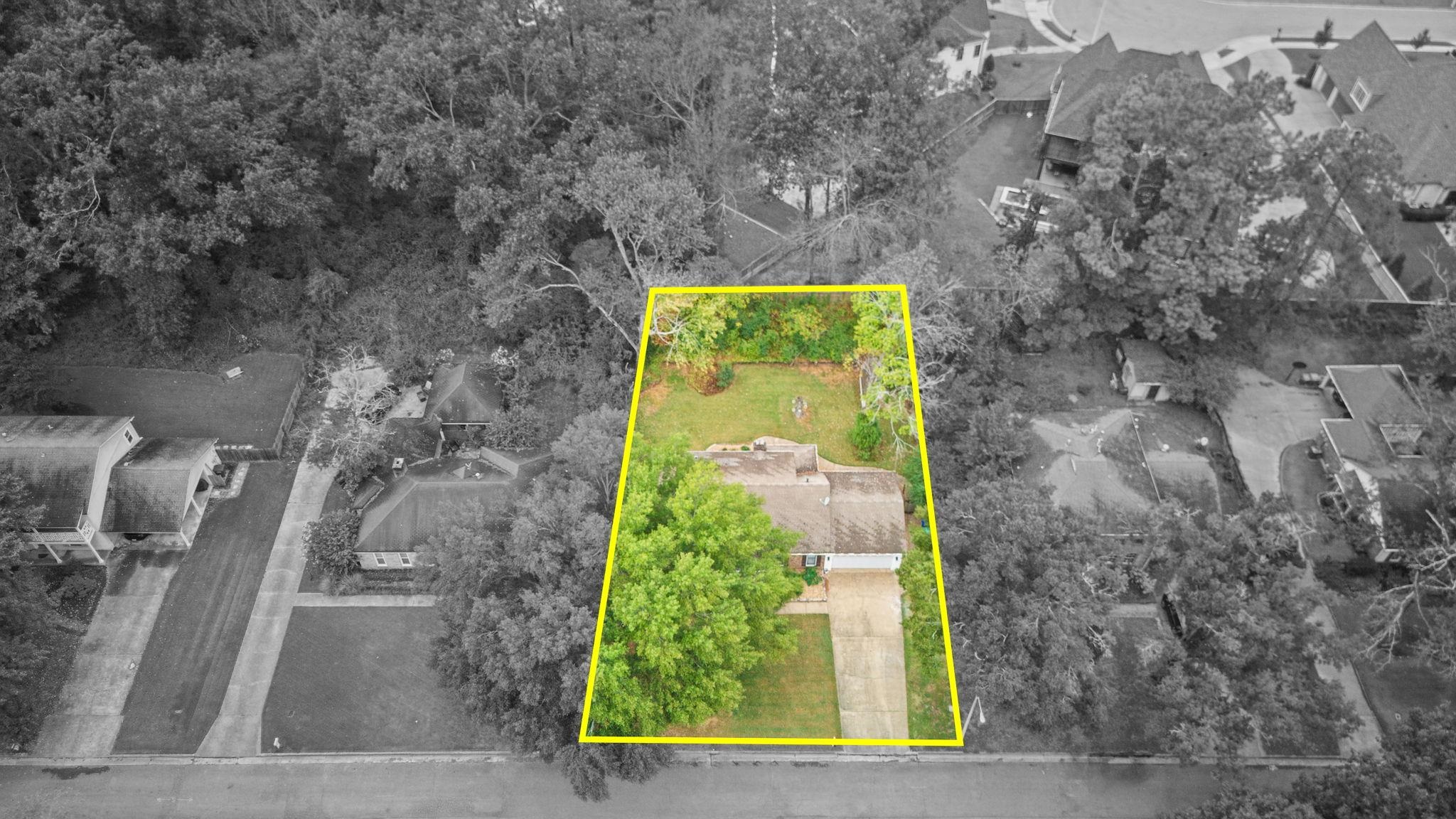 2531 MIMOSA TREE DR