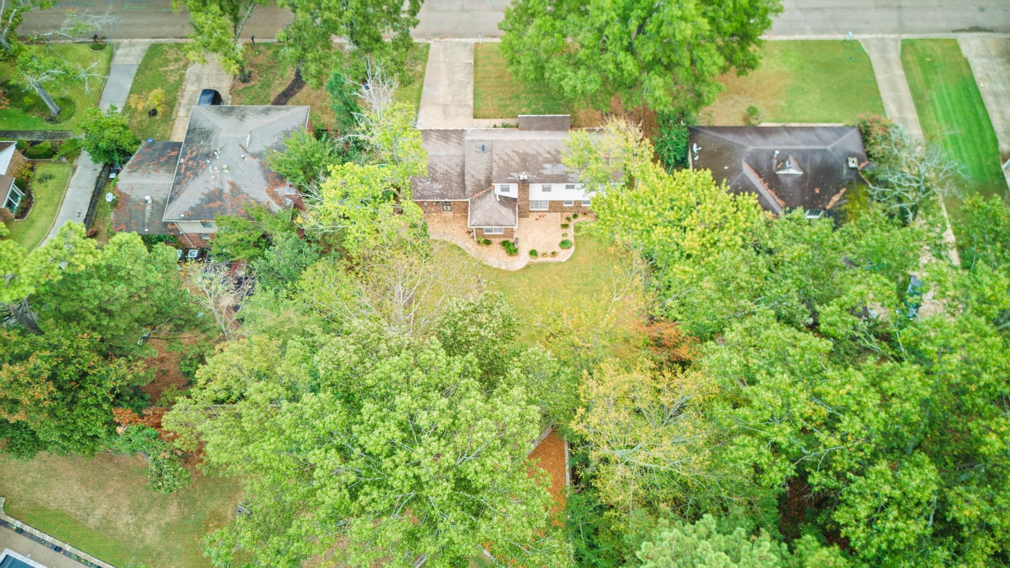 2531 MIMOSA TREE DR