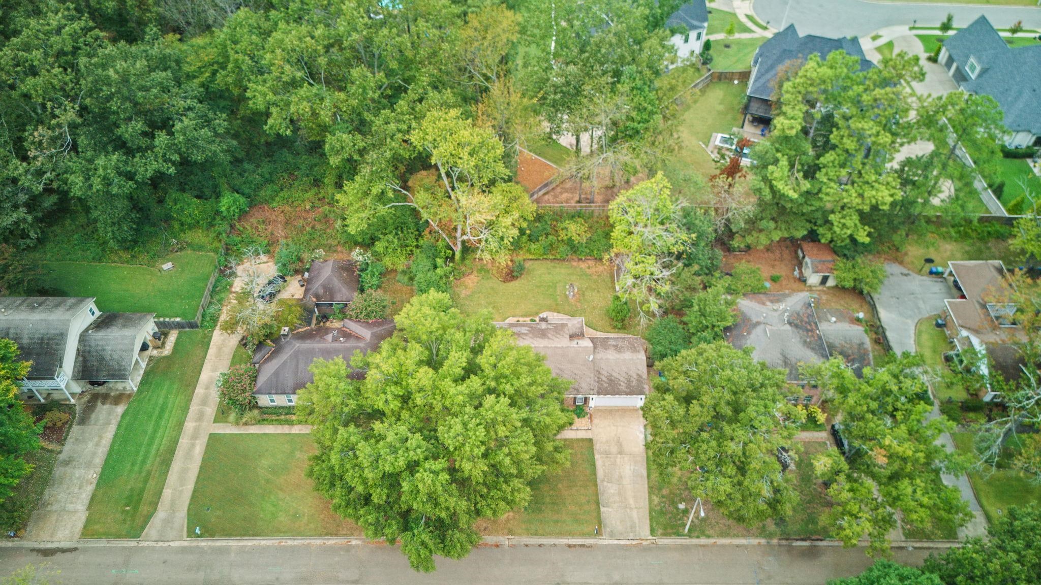 2531 MIMOSA TREE DR