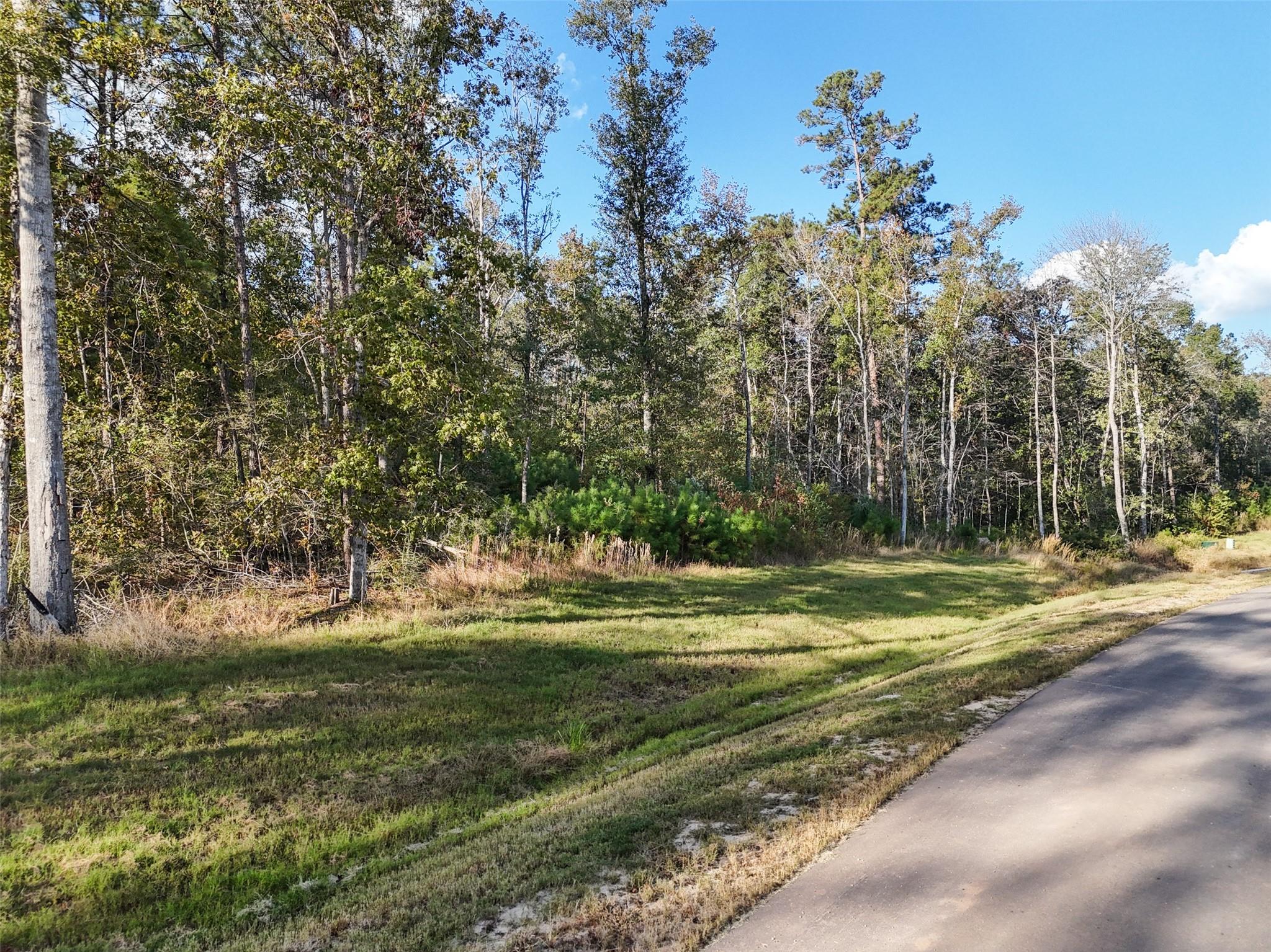 11615 Dawn Tree Lane