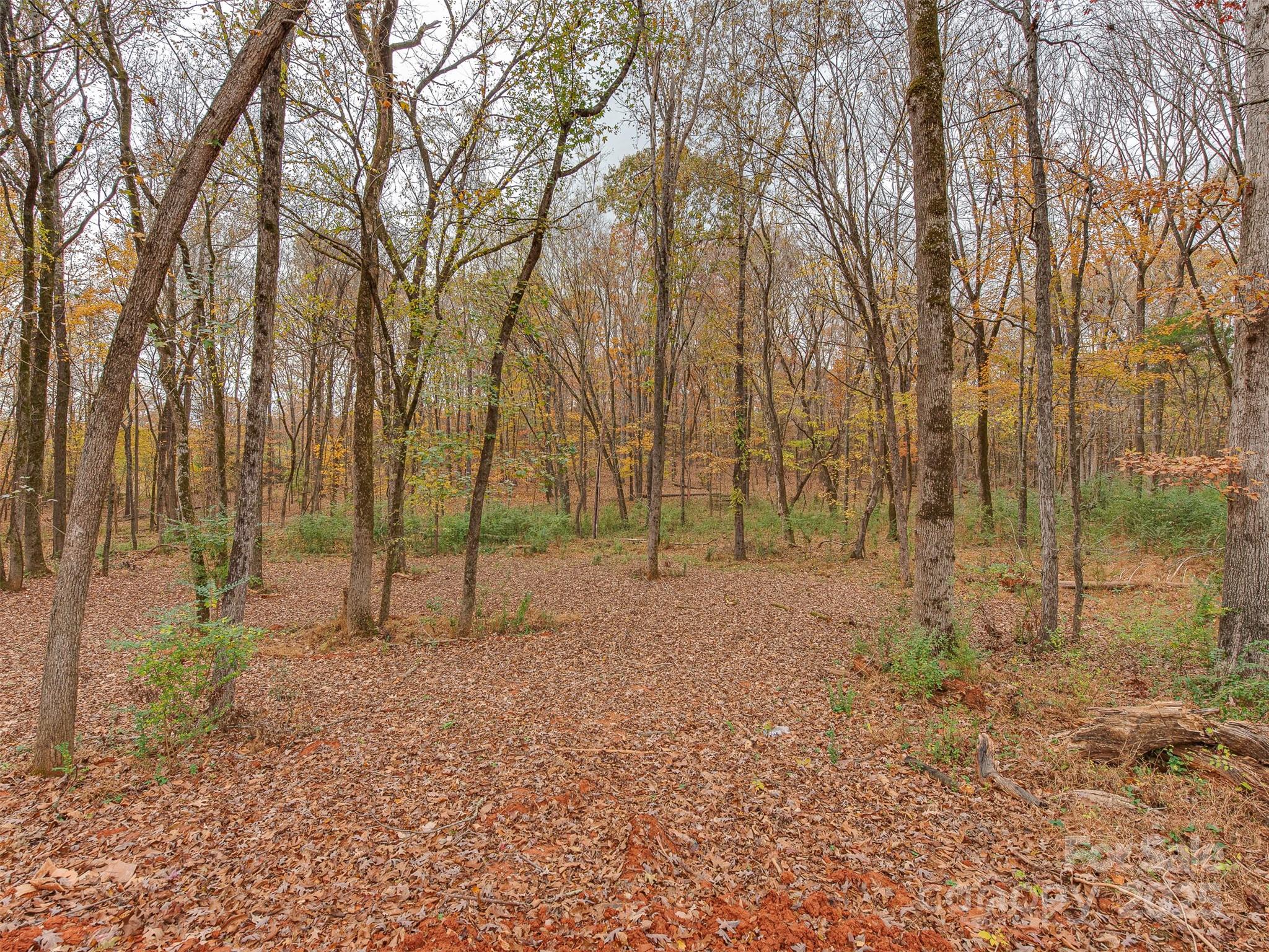 8508 Tirzah Church Road