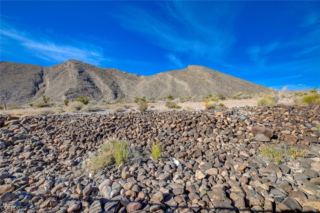 10772 Porter Mountain Court