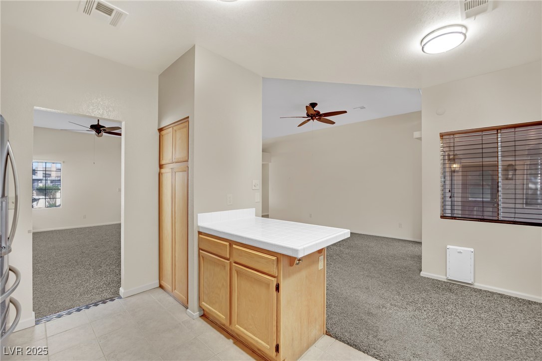 476 Tiger Lily Way