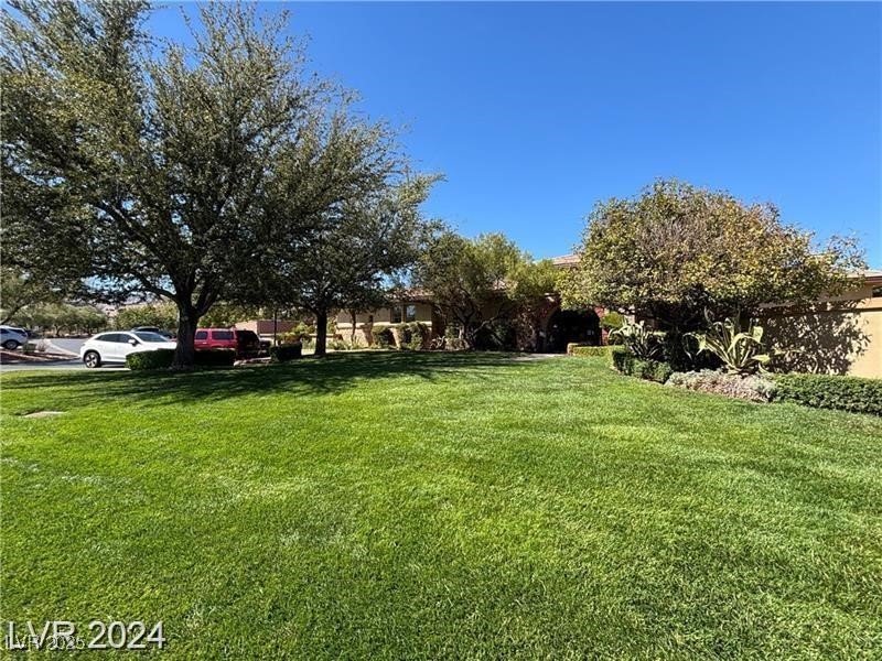 6187 Novelty Street