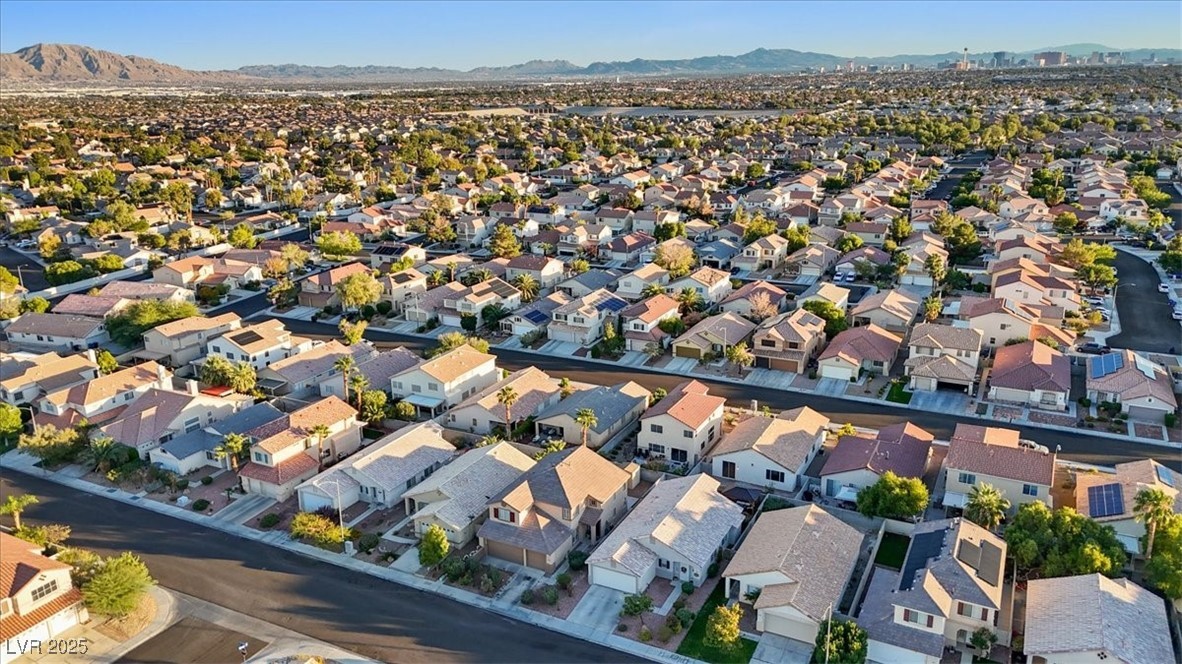 1902 Giant Pine Avenue