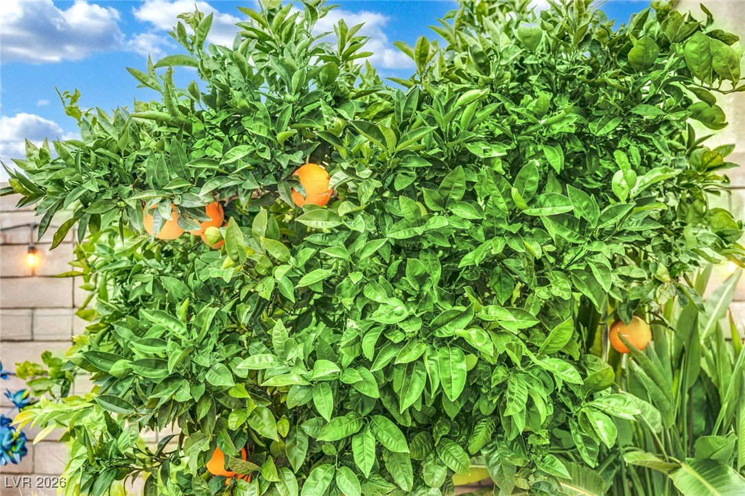 748 Big Meadow Street