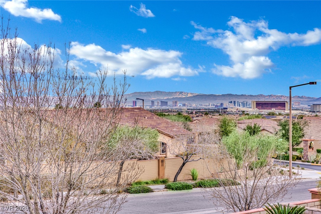 748 Big Meadow Street