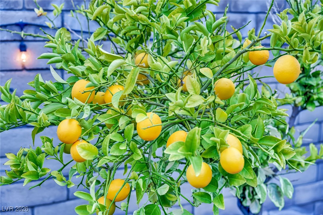 748 Big Meadow Street